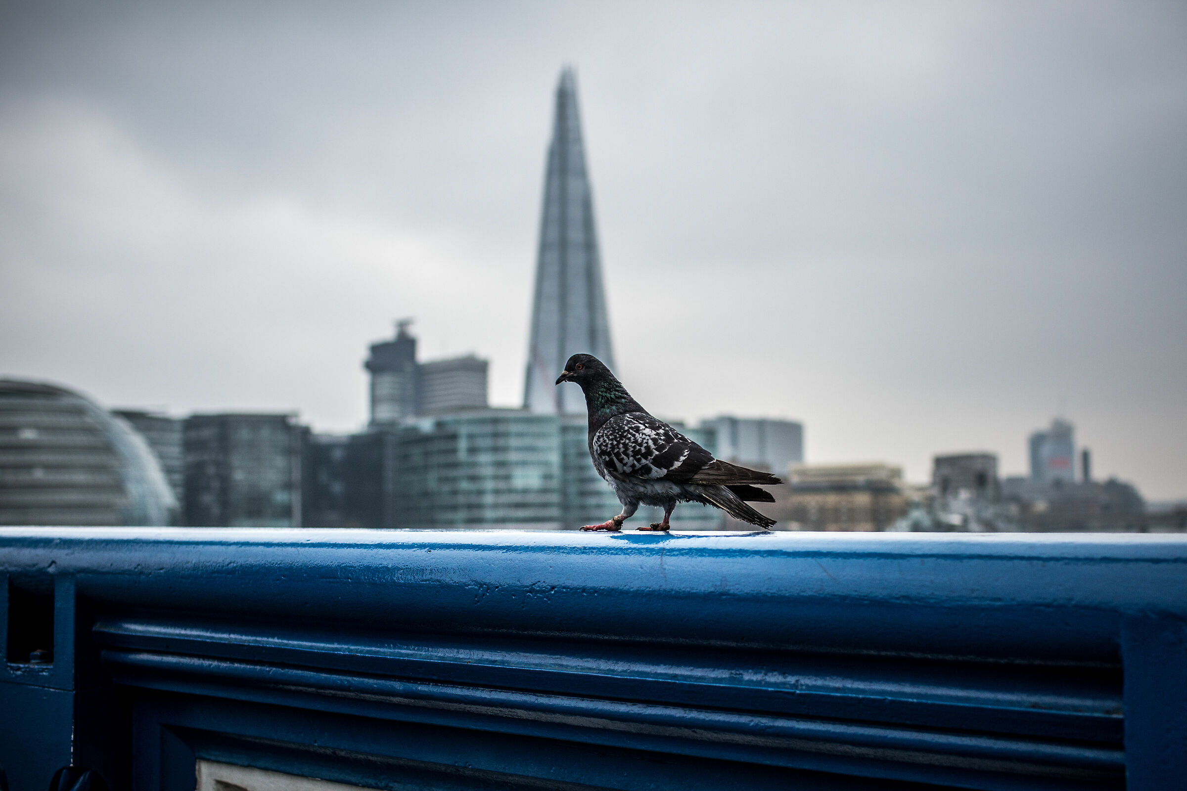 London (as they say Lannon)