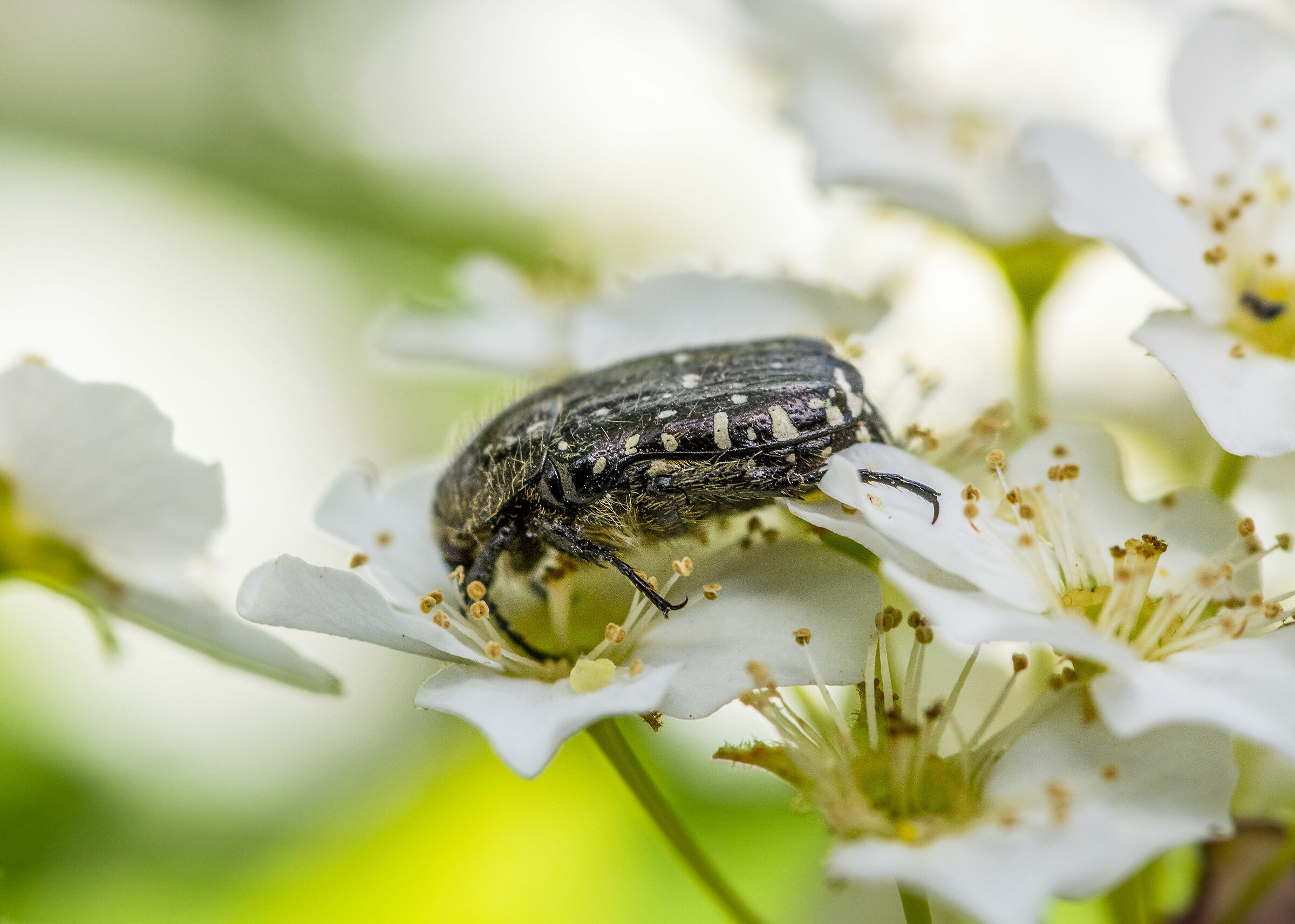 The well-deserved rest