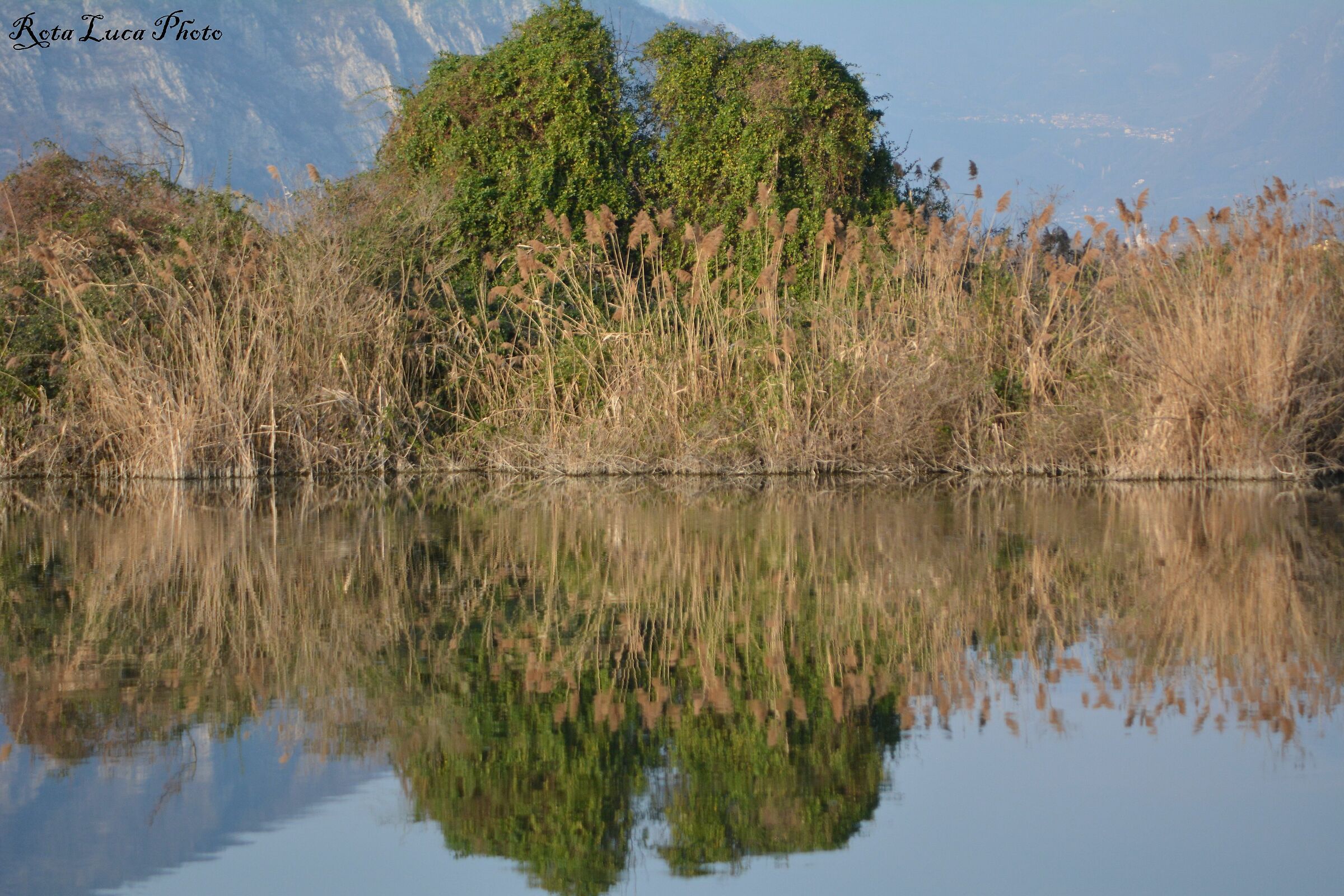 Mirror of my desires........