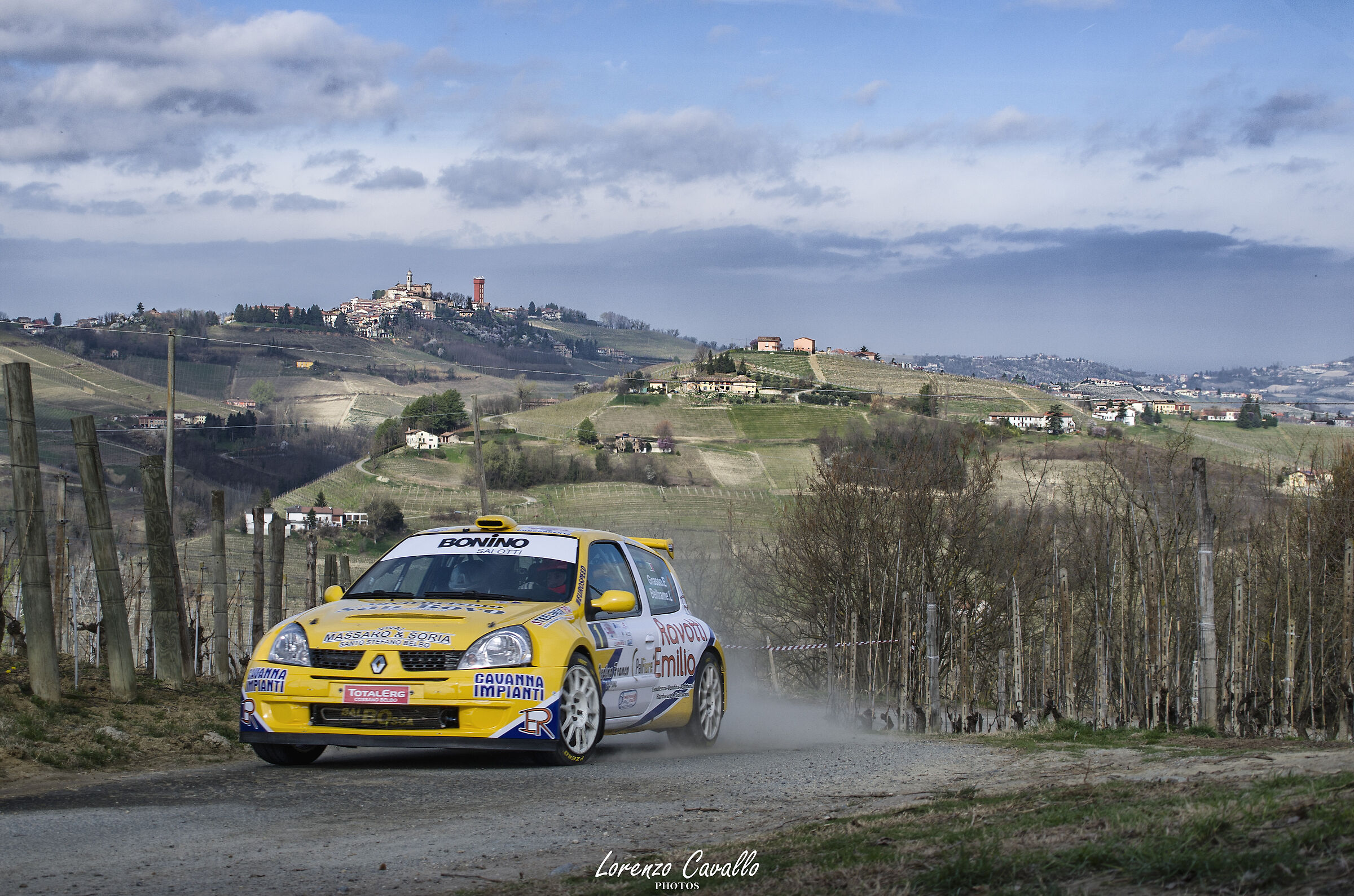 Monferrato Vineyards