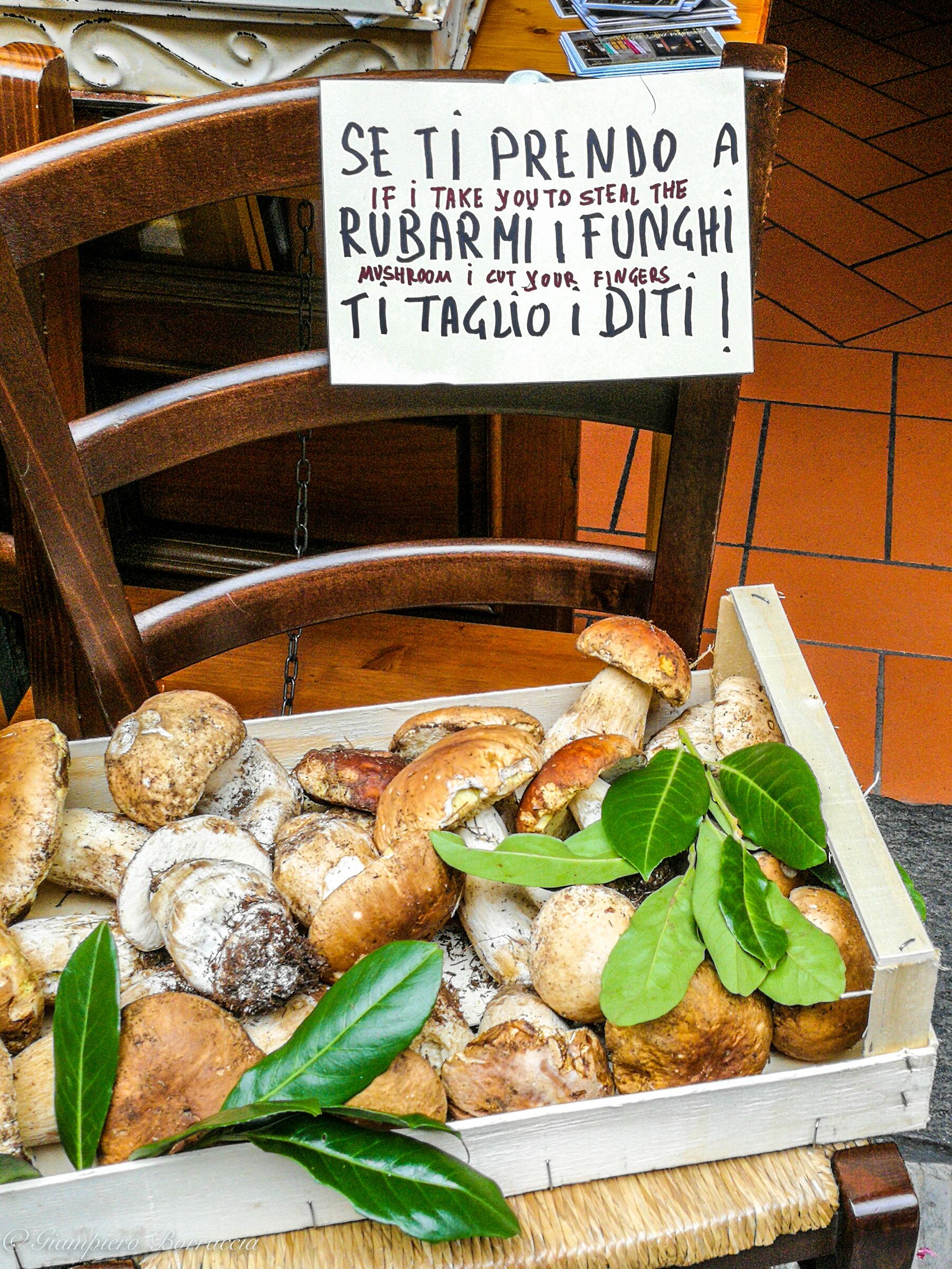 Avvertimento - Notice