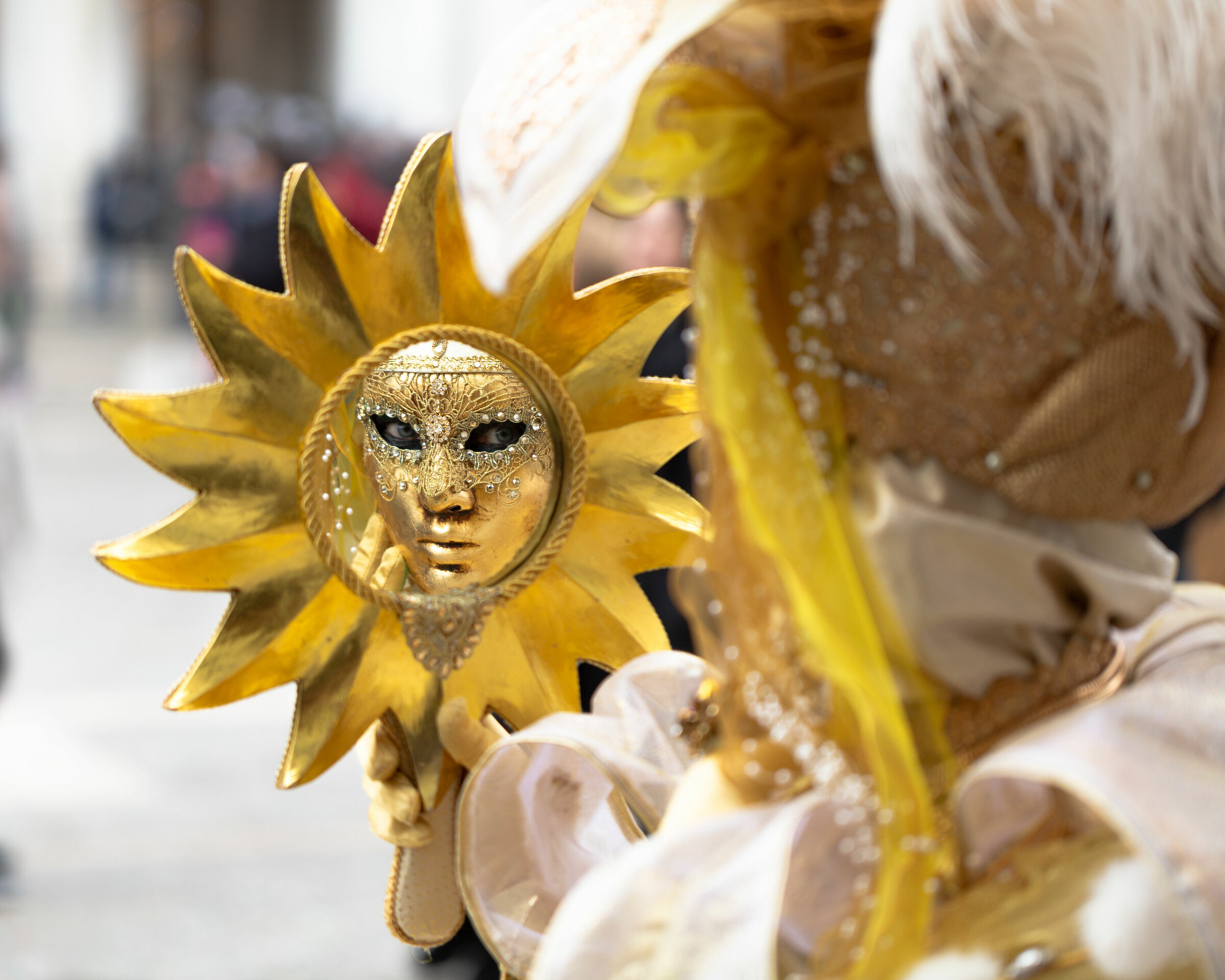 Mirror of the Desires