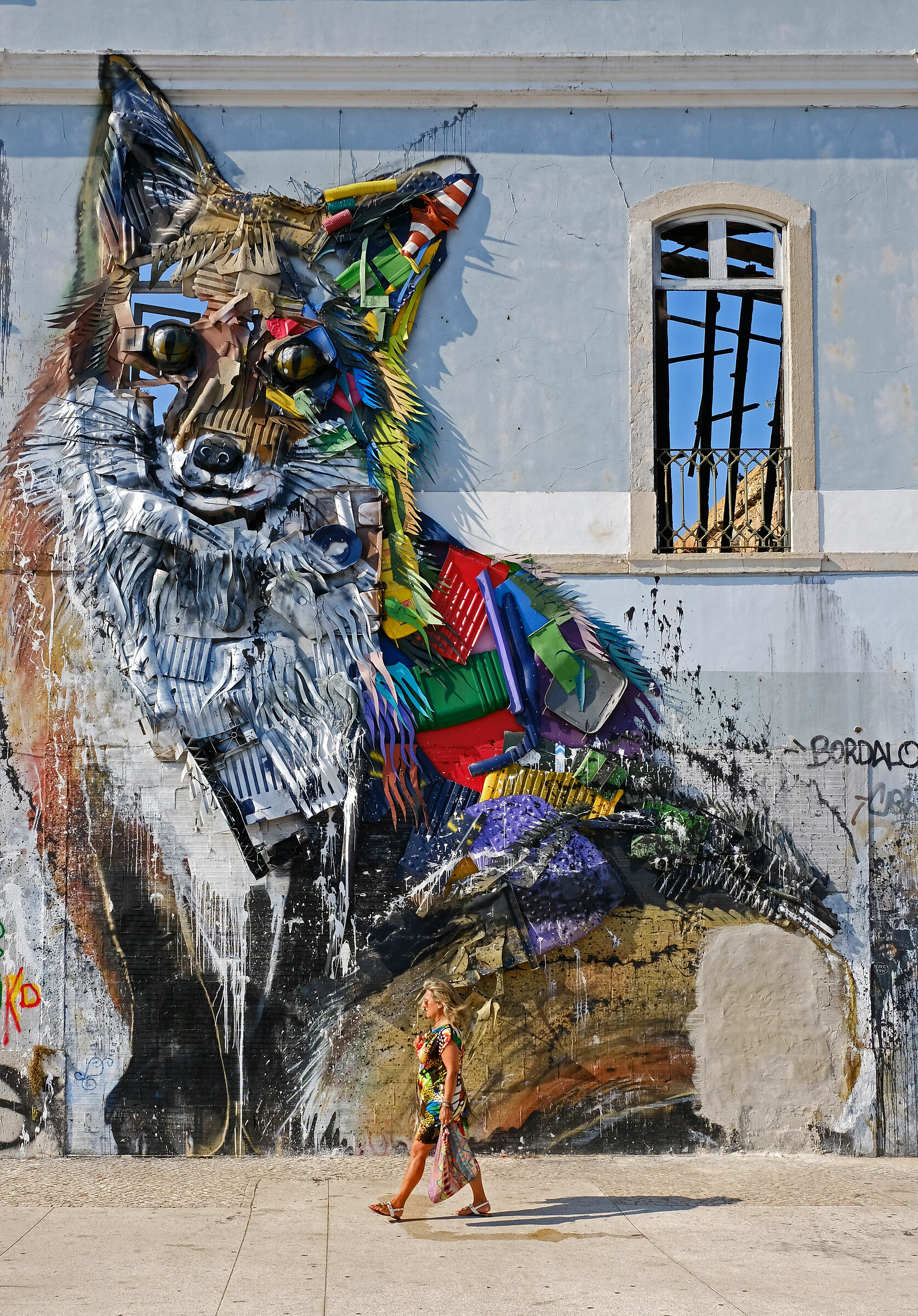 Una Volpe in Città!