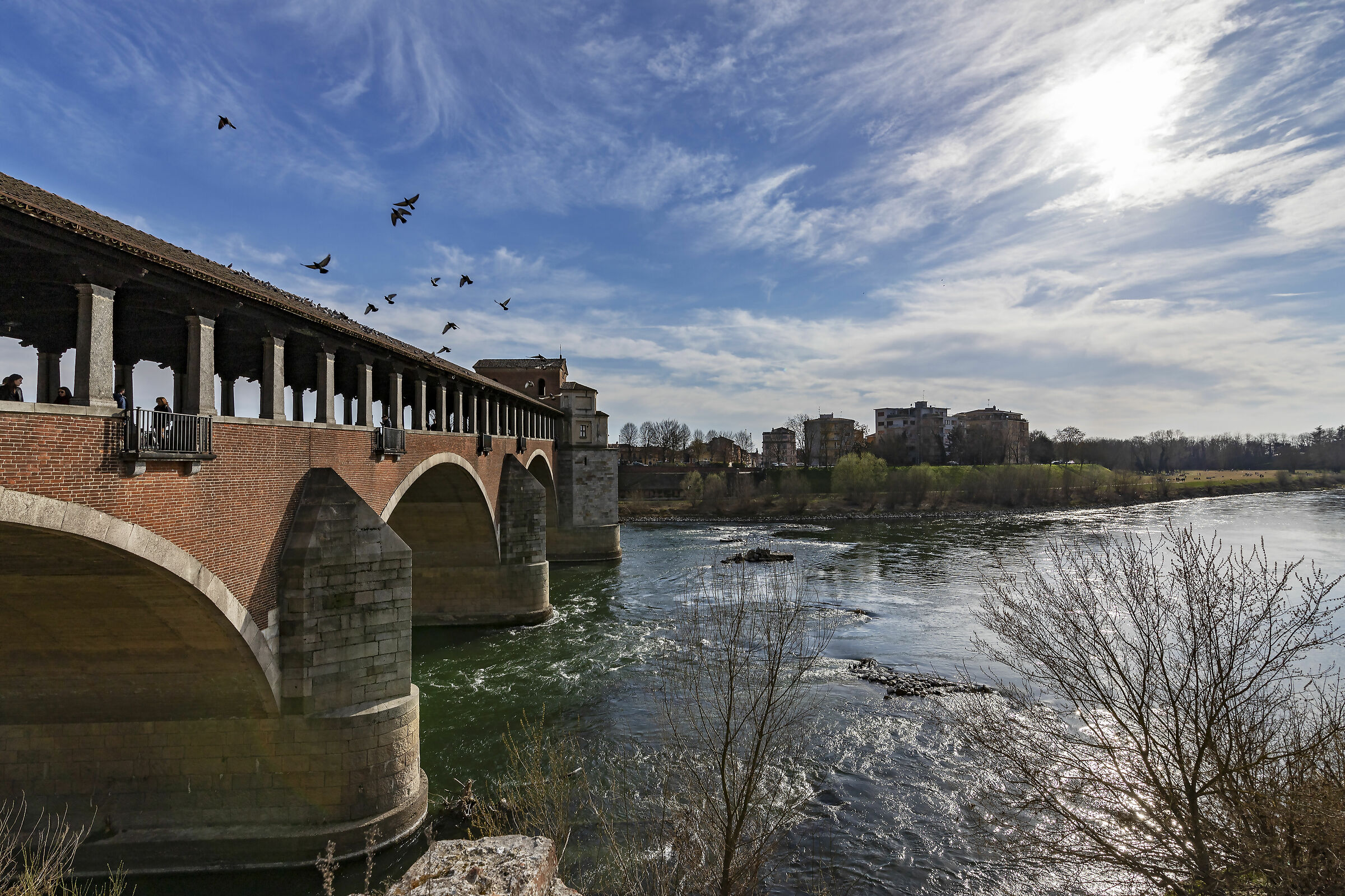 Sua maestà il ponte