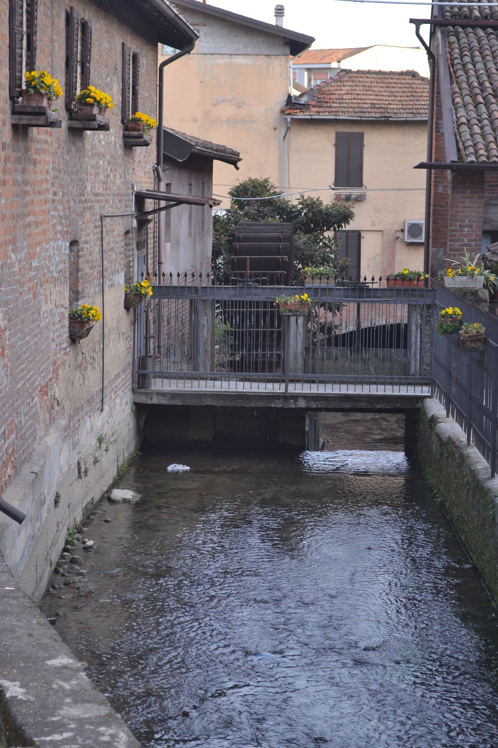 Mill of Vigevano