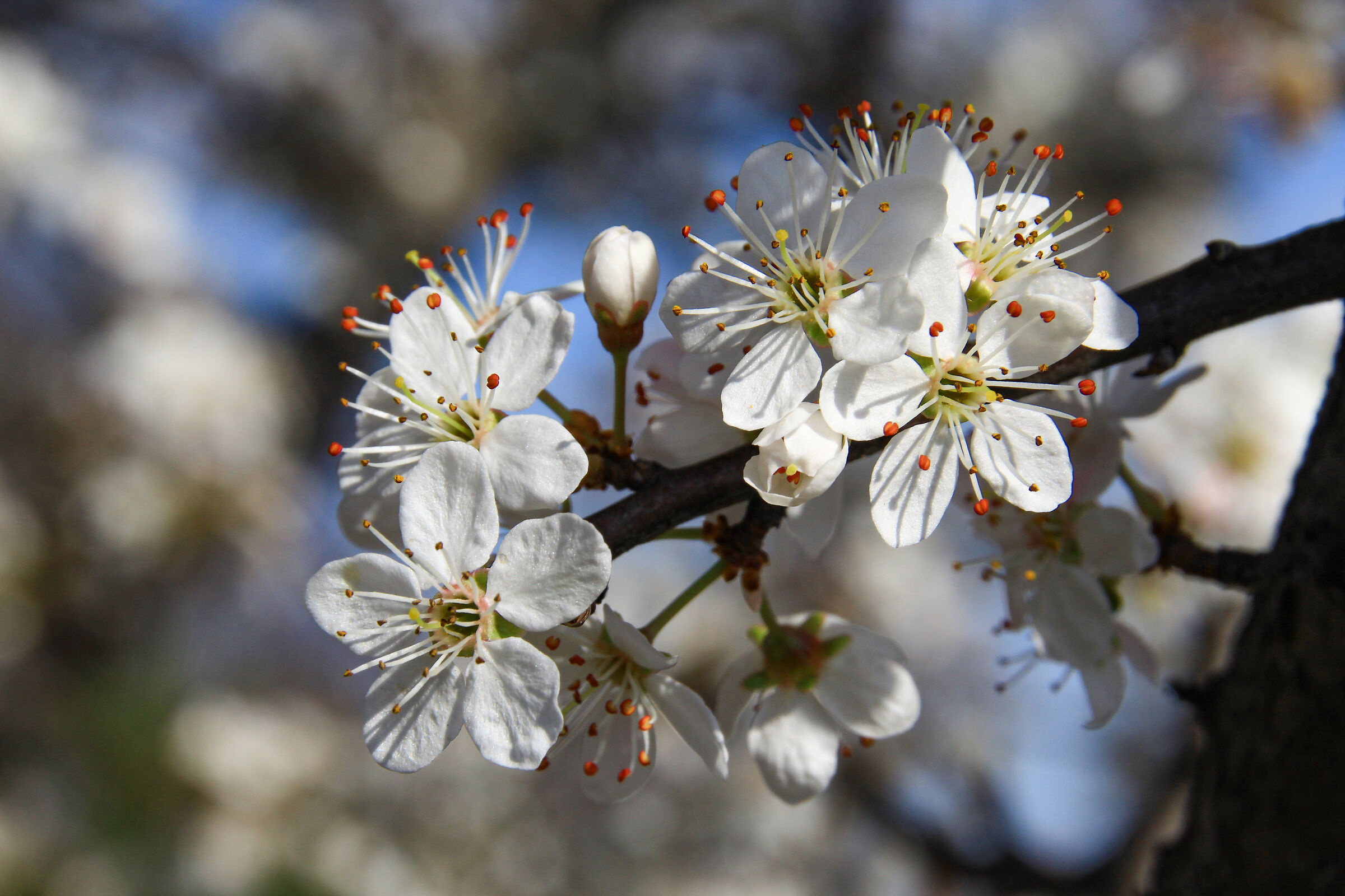 And everything is flourishing