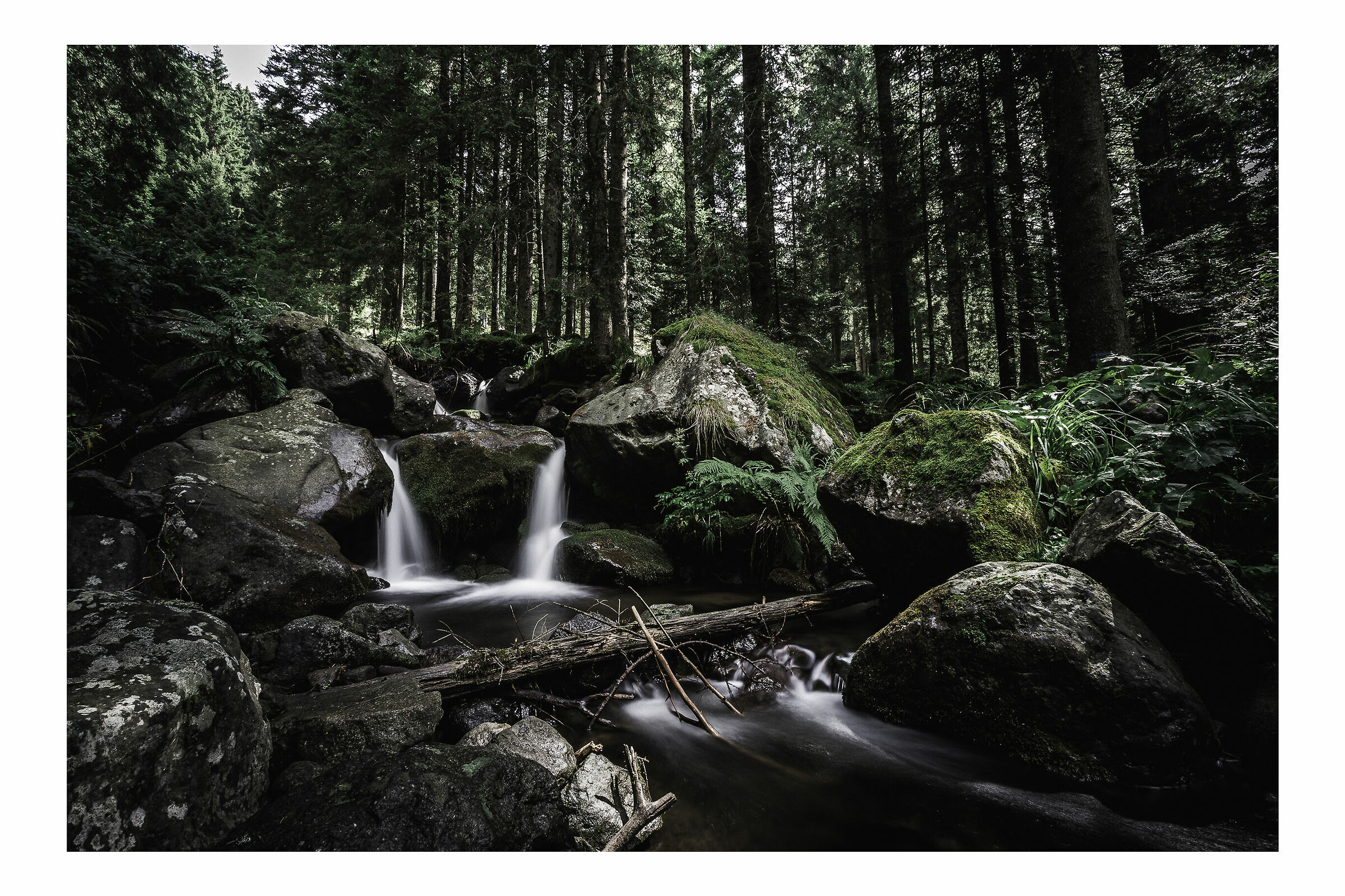 Affluente Rio di Cadino - Passo Manghen. Trentino.