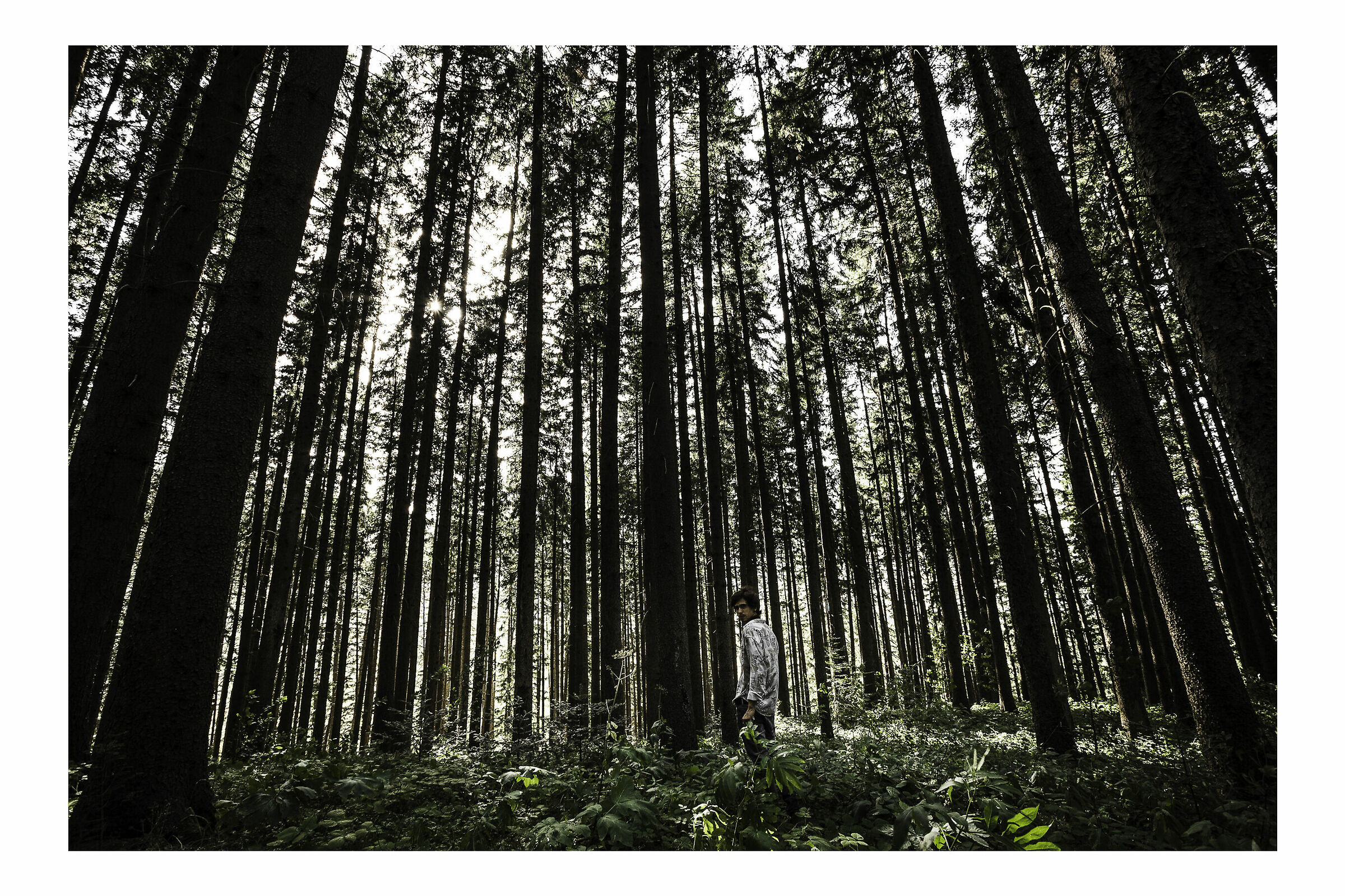 Parco Sirente Velino - Altopiano delle Rocche.