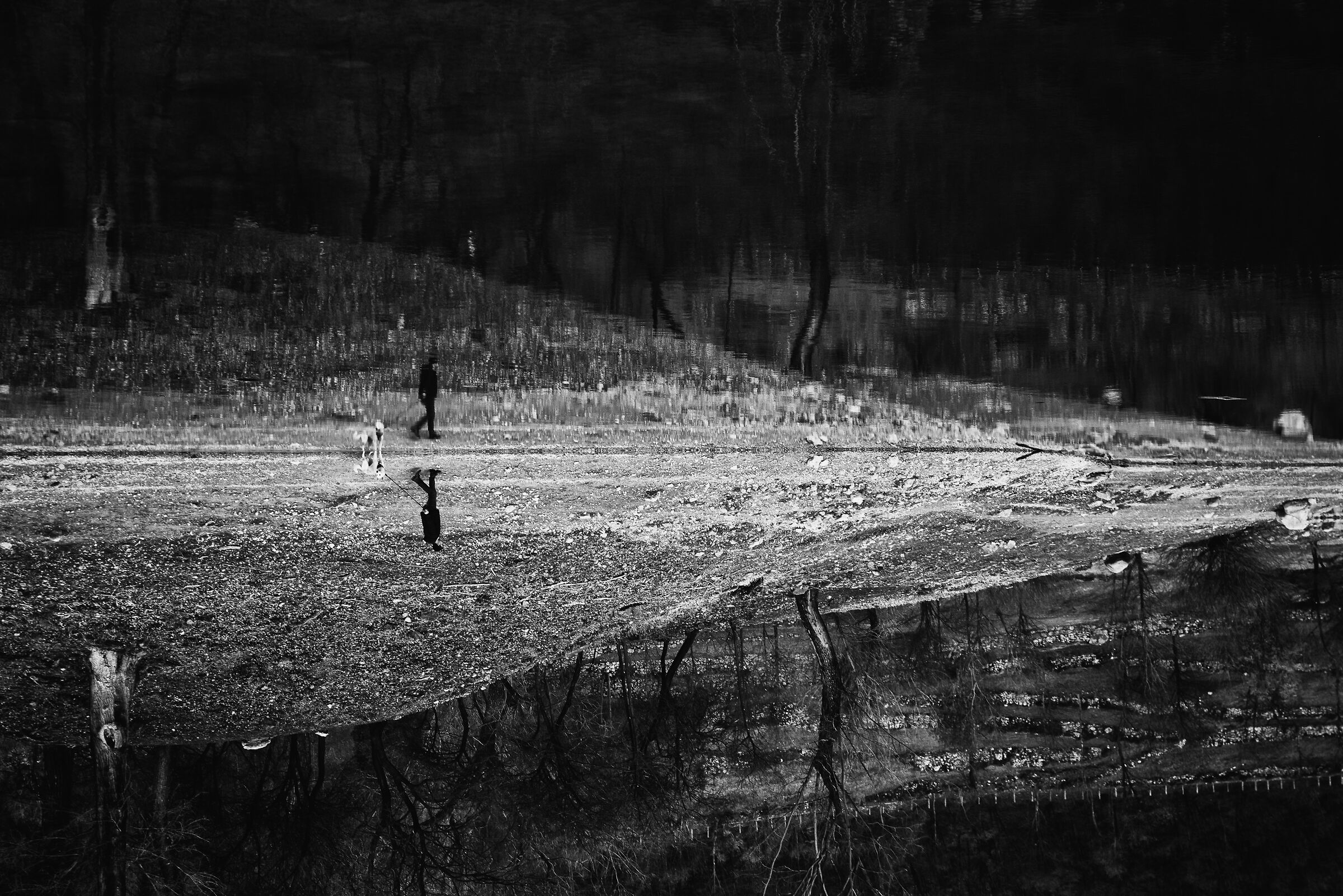 Camminando in un Sogno...