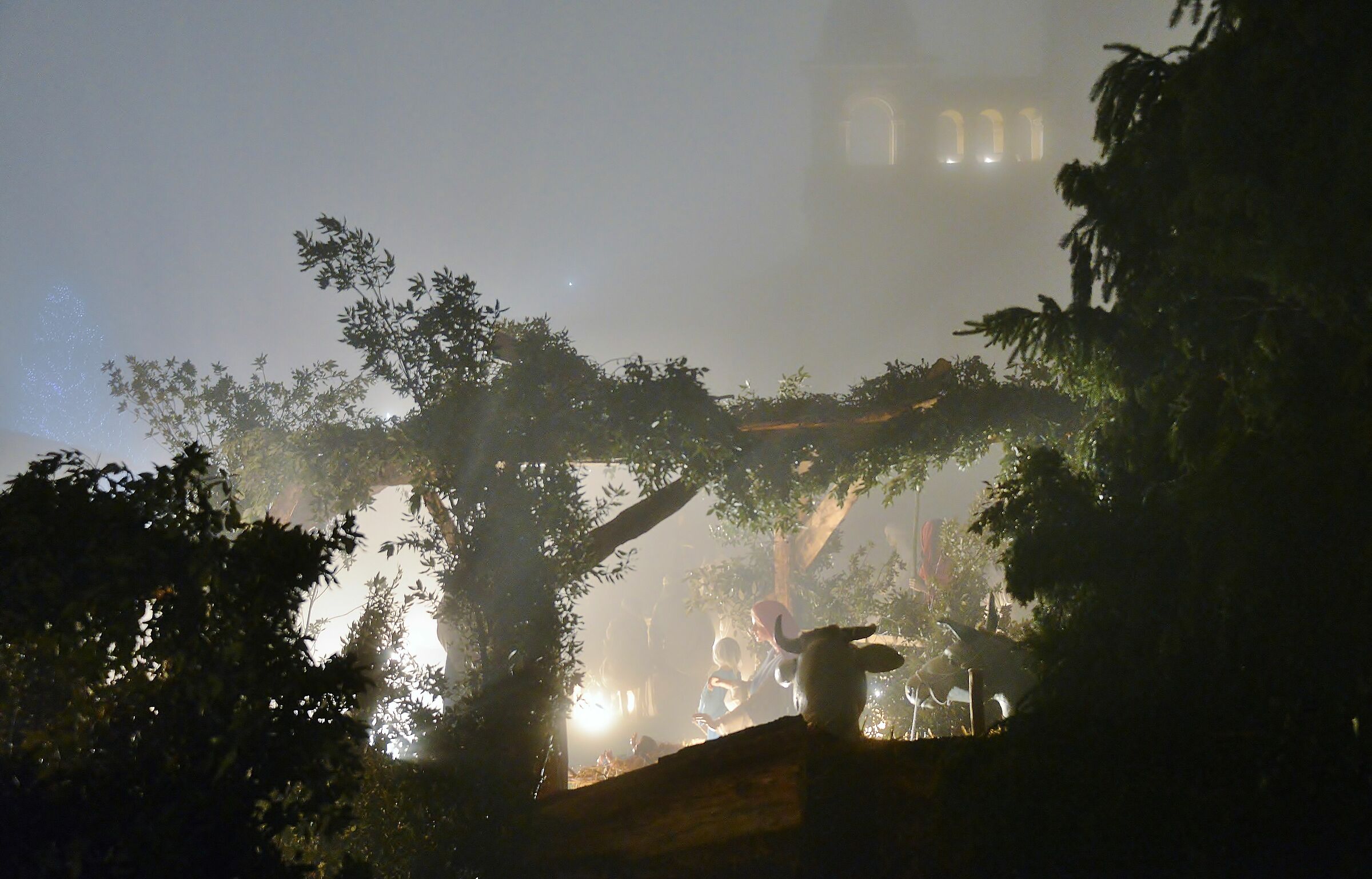 Assisi nella nebbia3