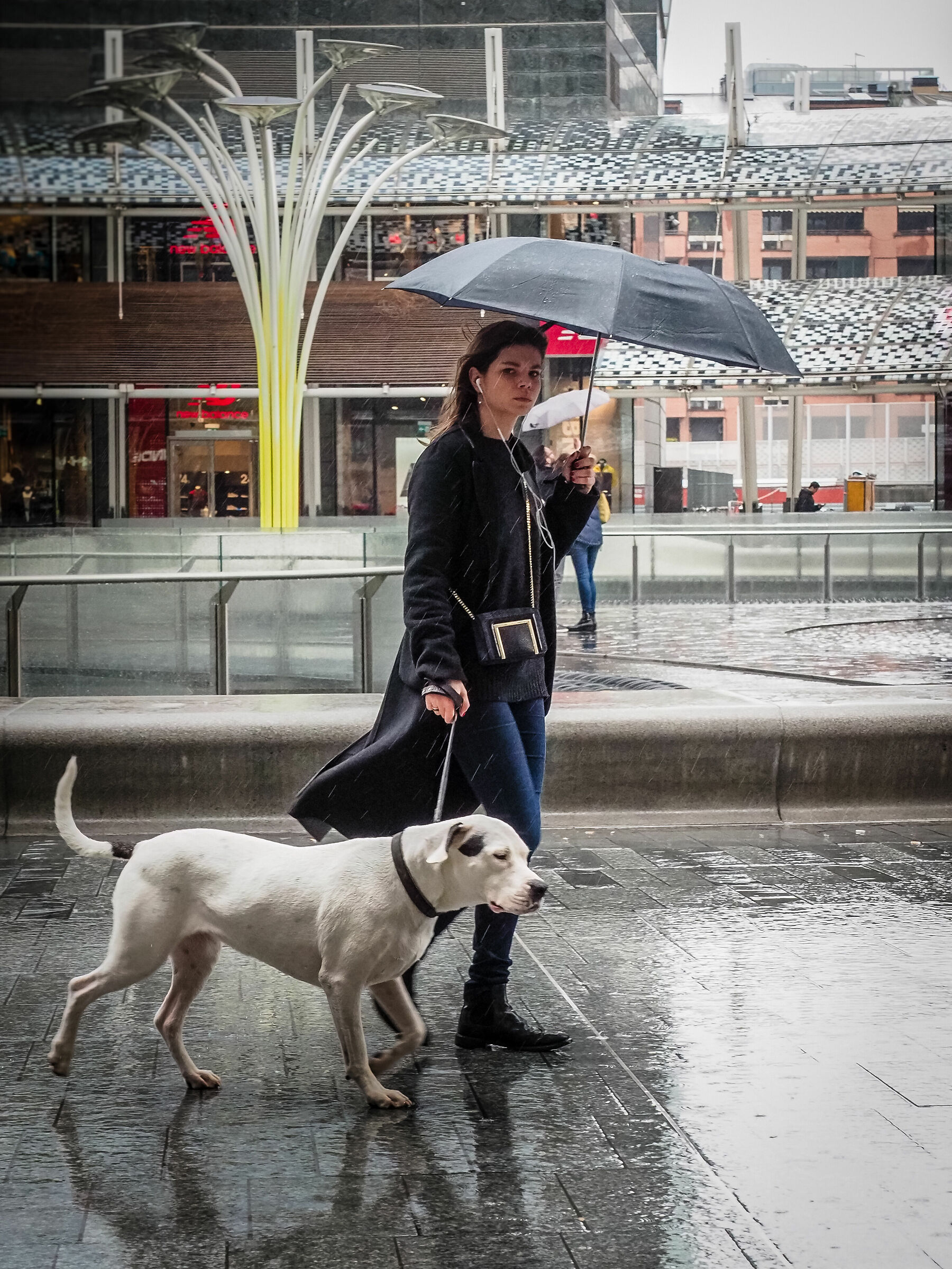 sotto la pioggia con il cane