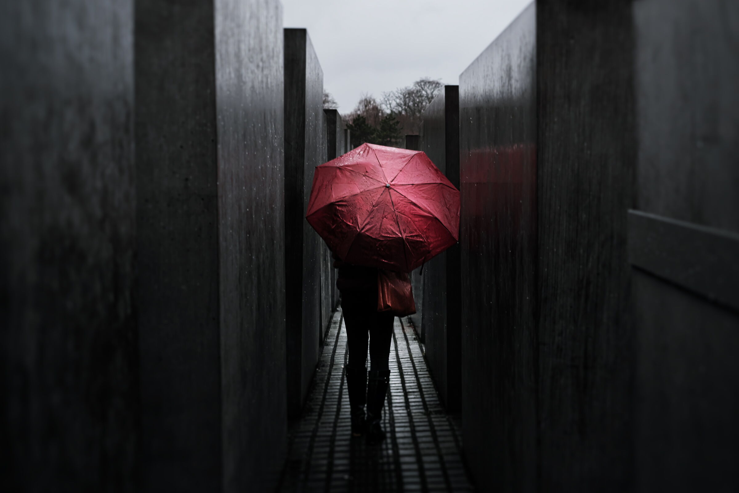 Red rain on holocaust