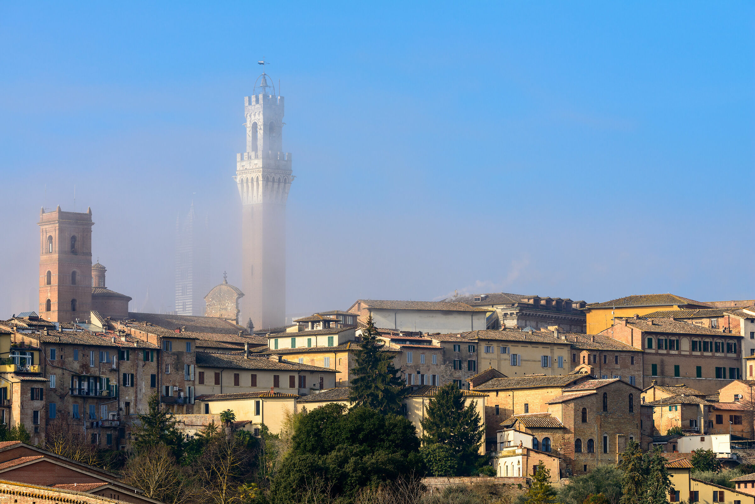 Tra sole e nebbia