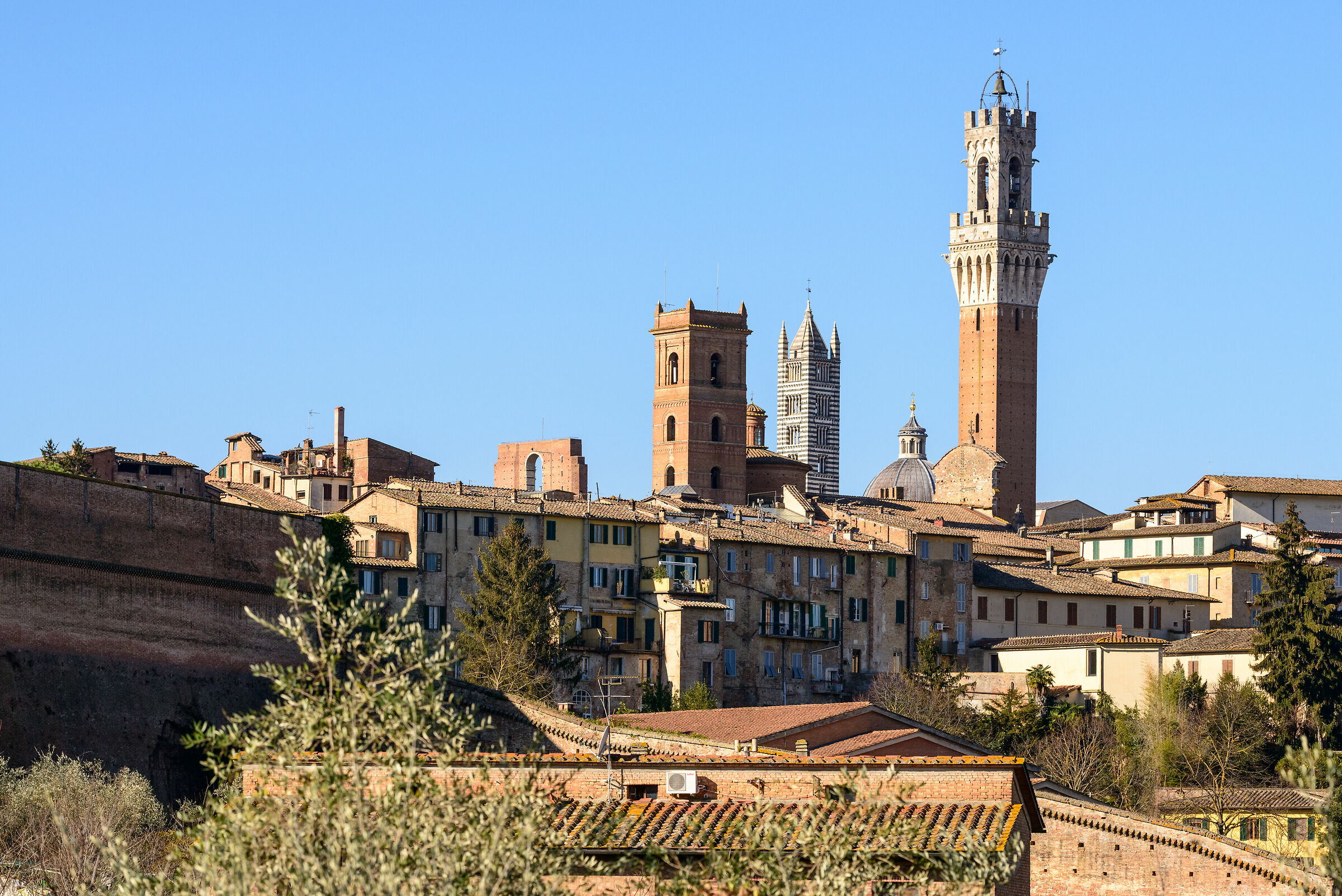 Siena