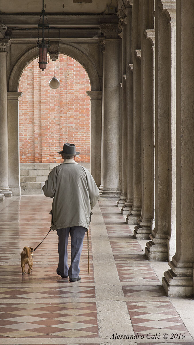 A spasso con il fedele amico 8012