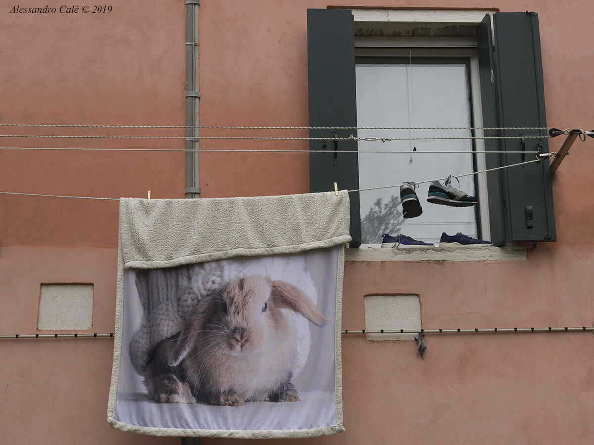 Scorci di Venezia 7828