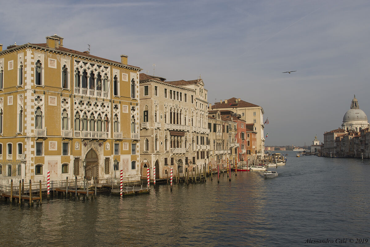 Scorci di Venezia 8071