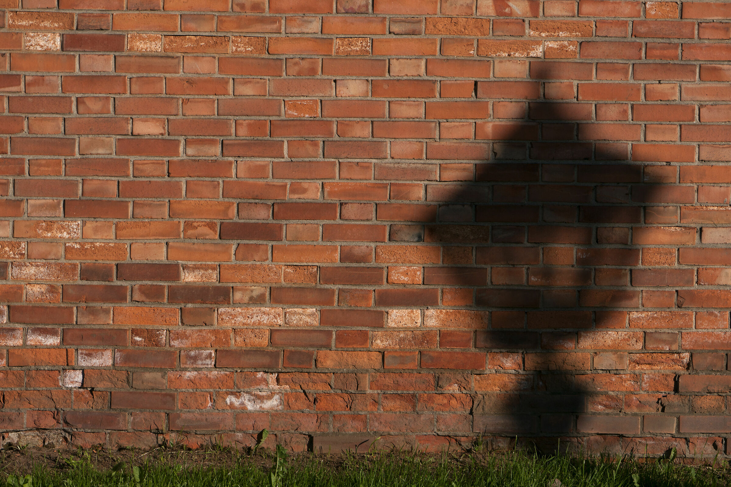 Scatti in libertà a San Pietroburgo.