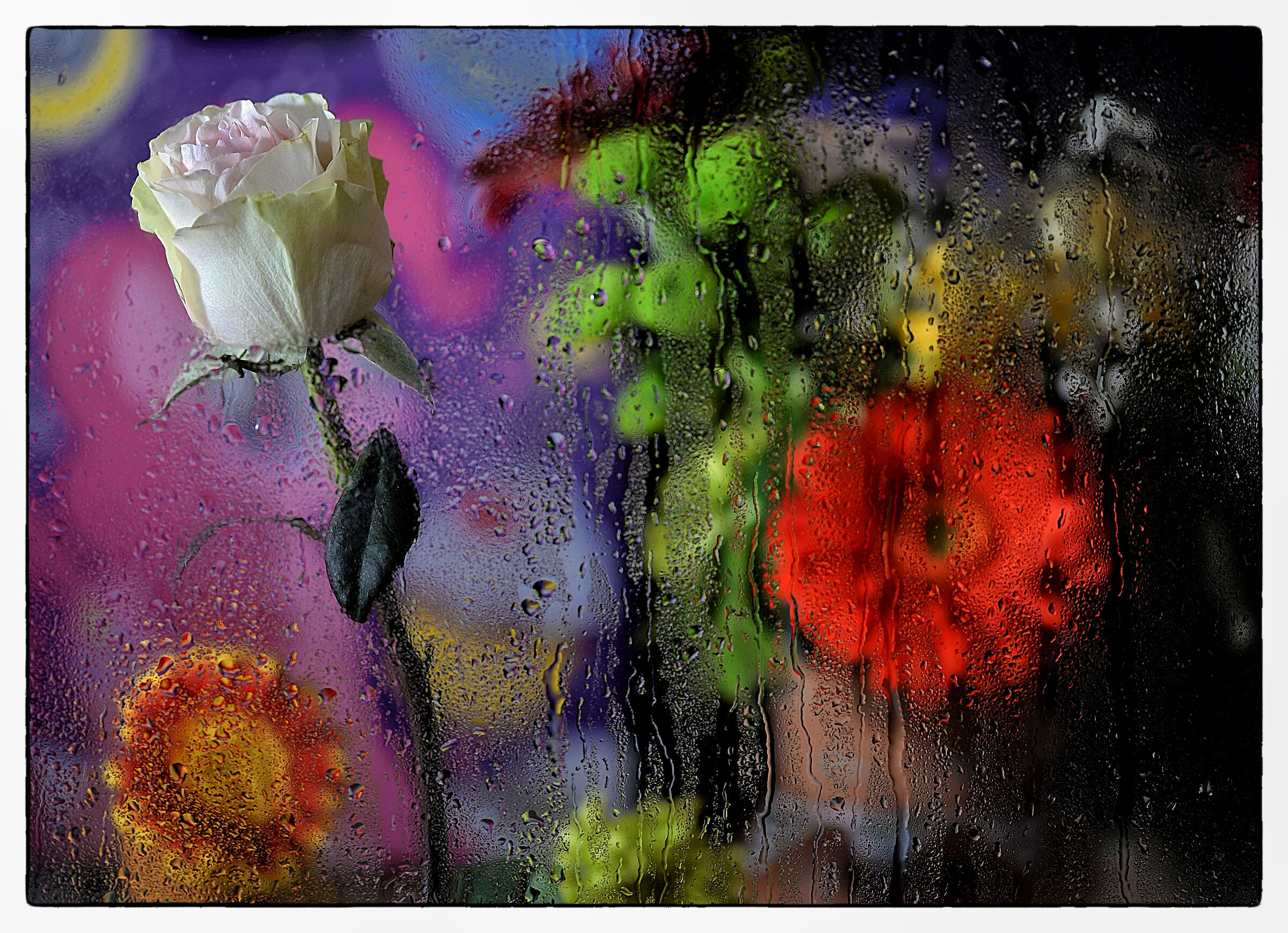 Wet Glass and flowers