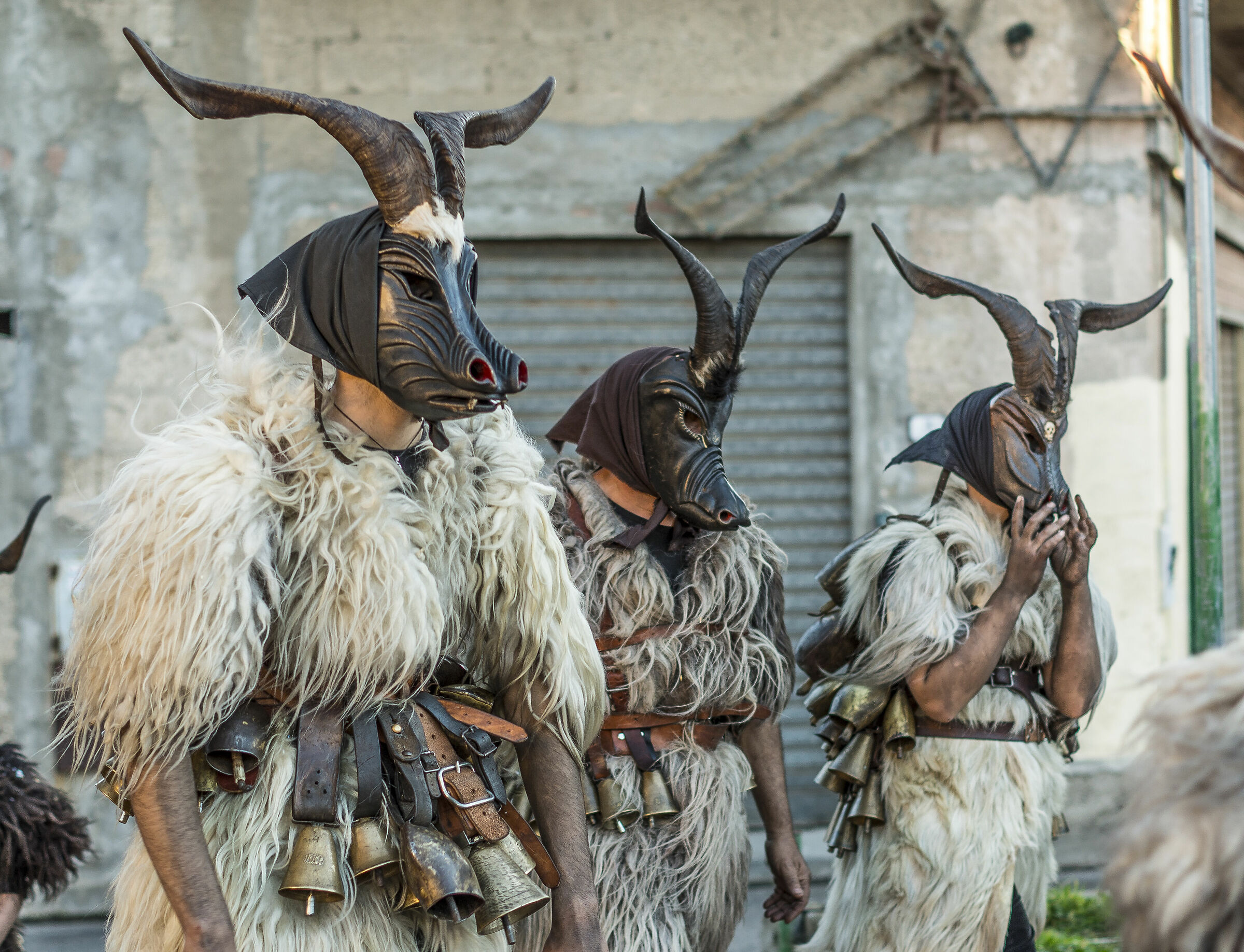 Su maimoni e is ingestis di Tertenia