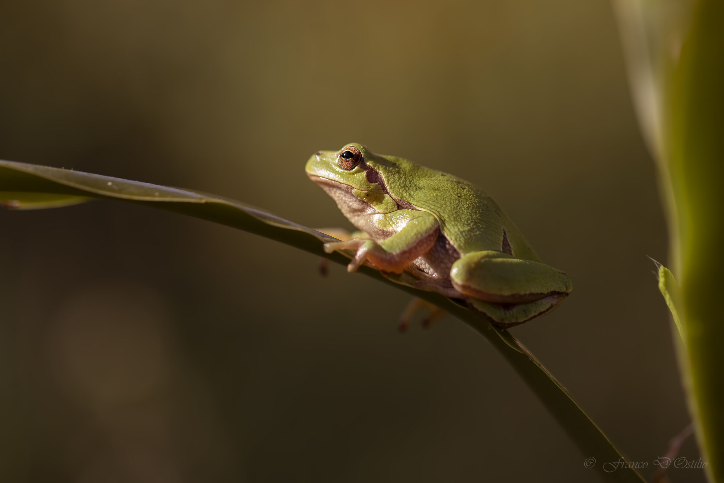 Uno sguardo verso la luce.