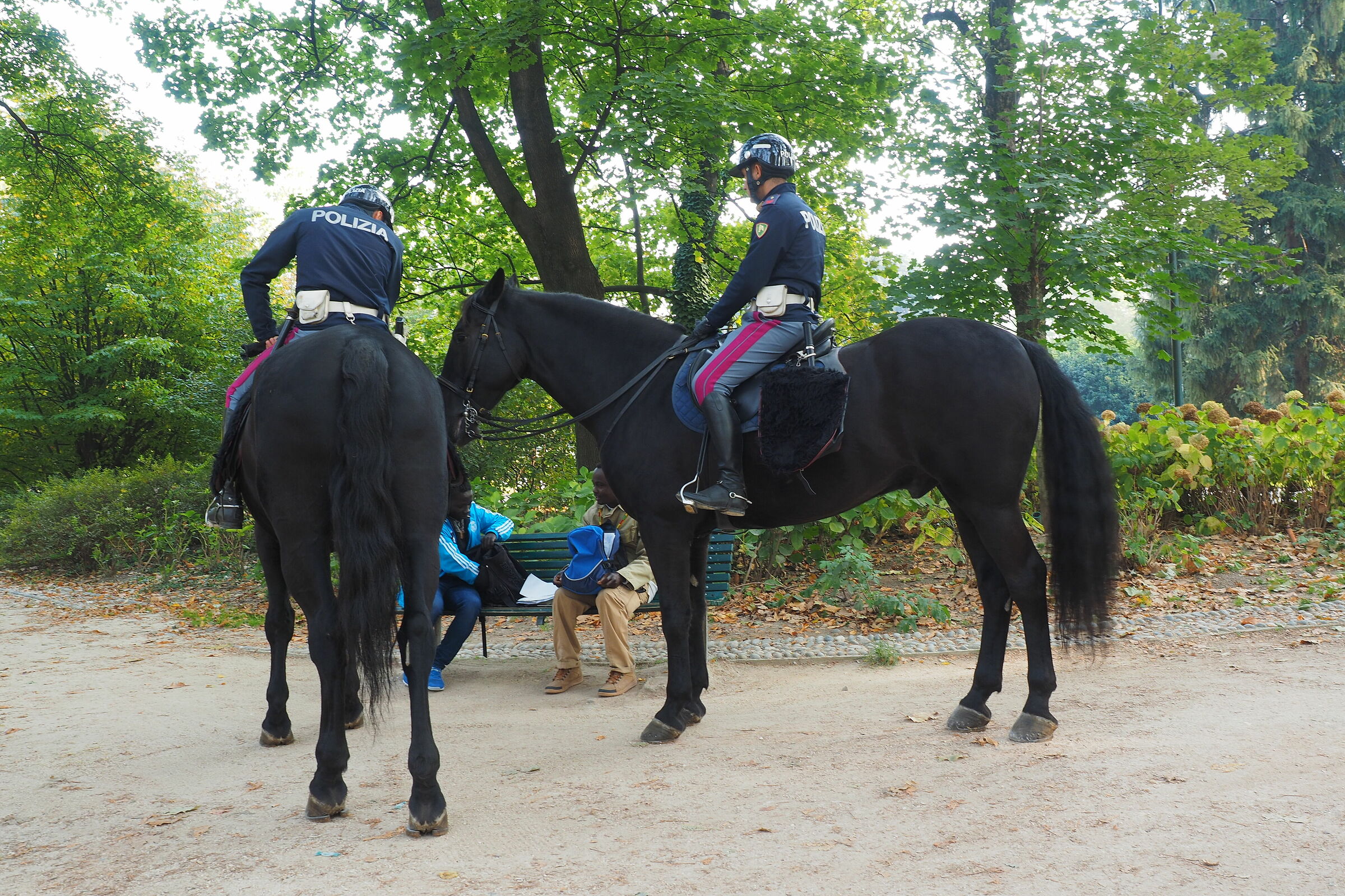 Altola' documenti !!