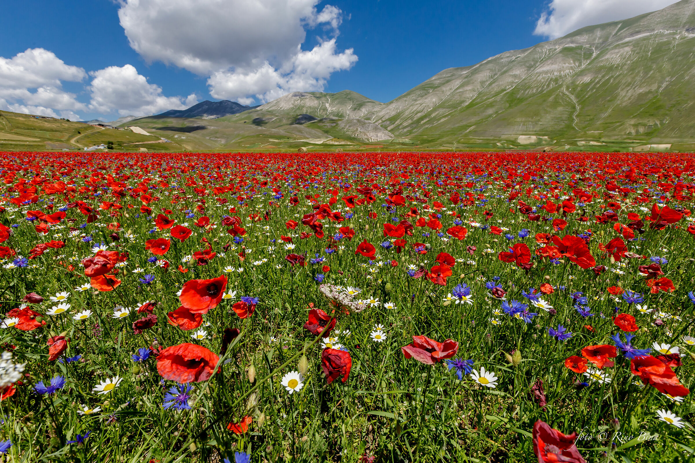 Pian Grande-Castelluccio