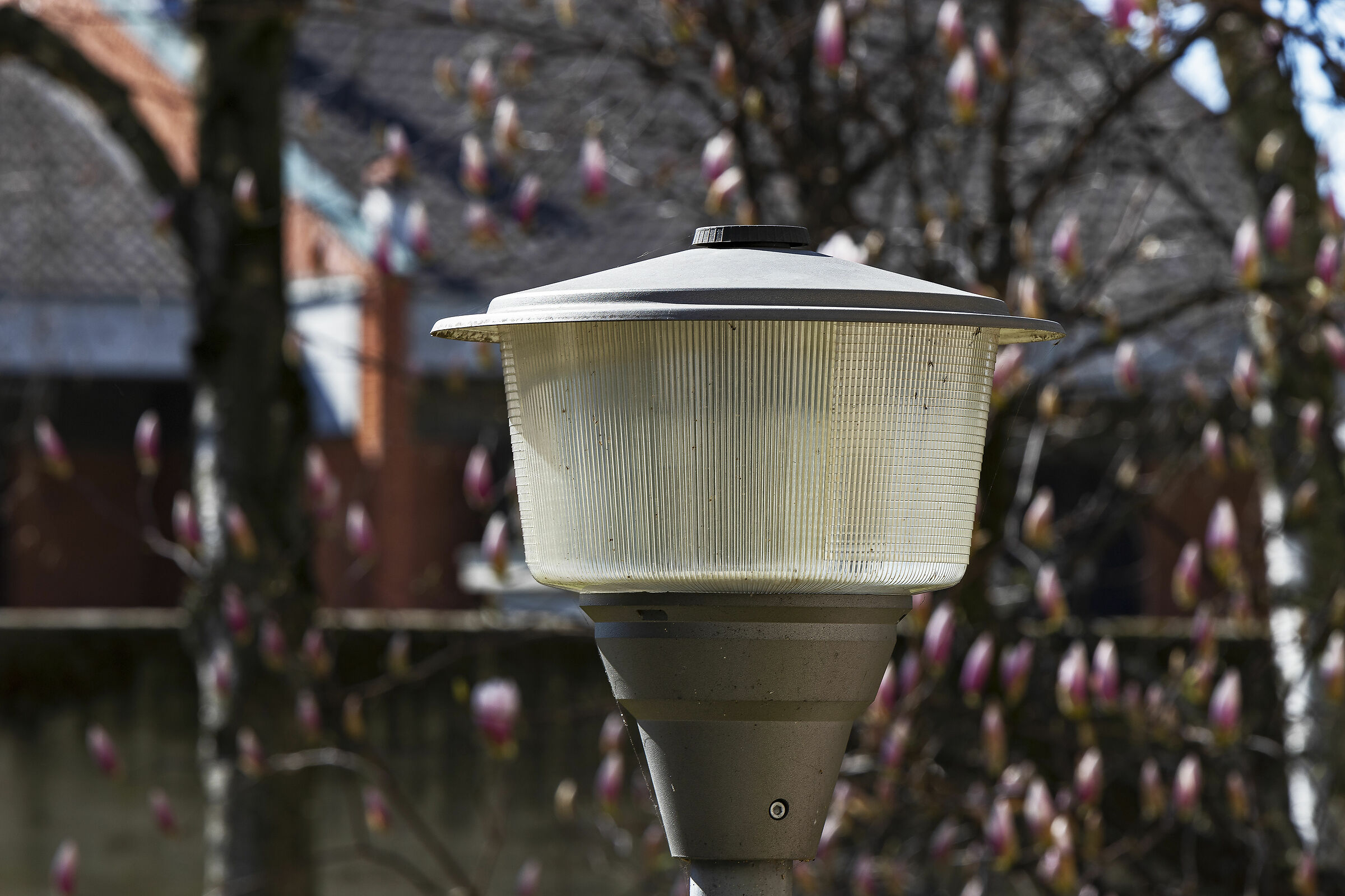 Prova obiettivo Tamron SP 70-200mm f/2.8