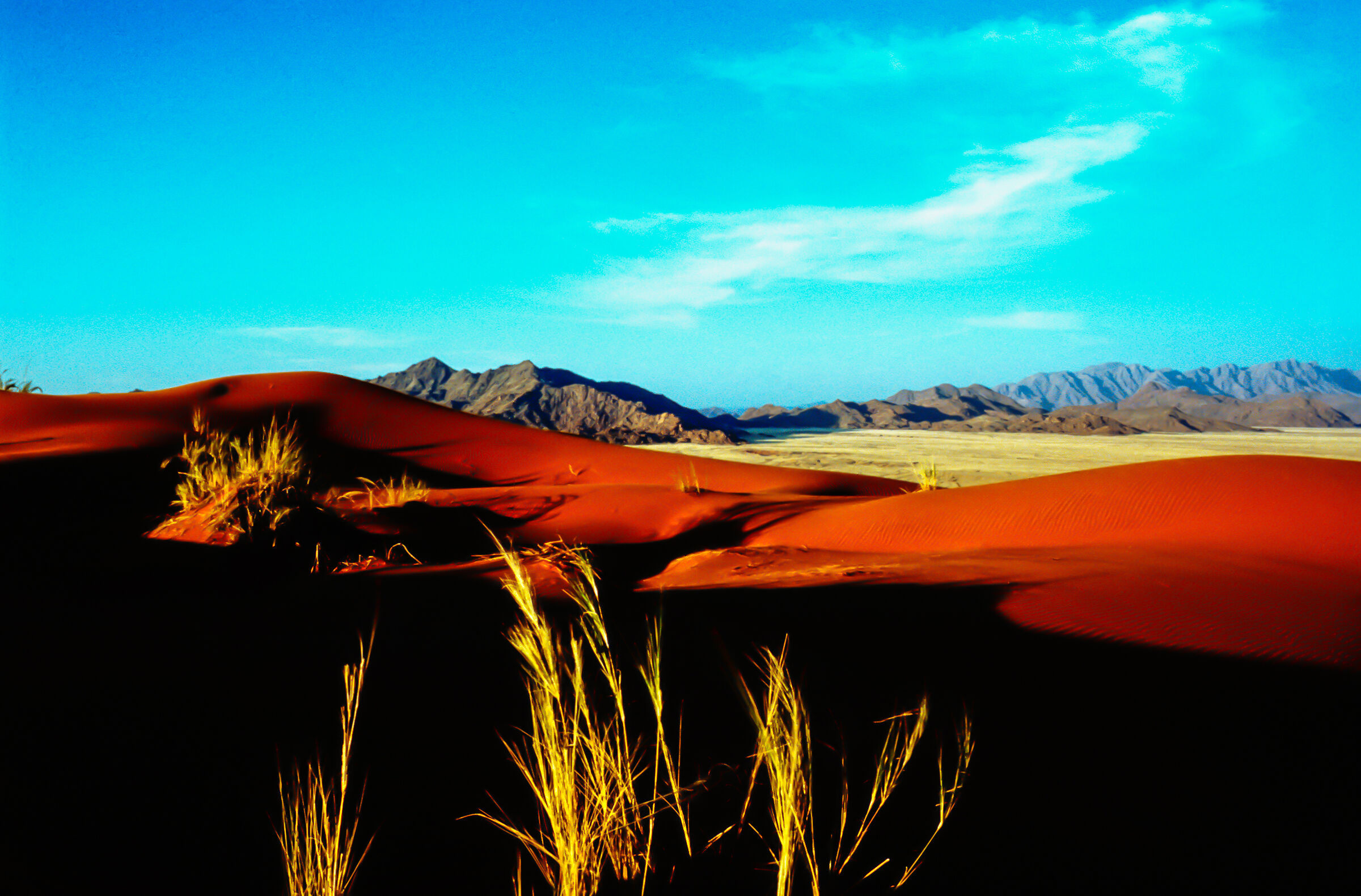 Uno sguardo al deserto