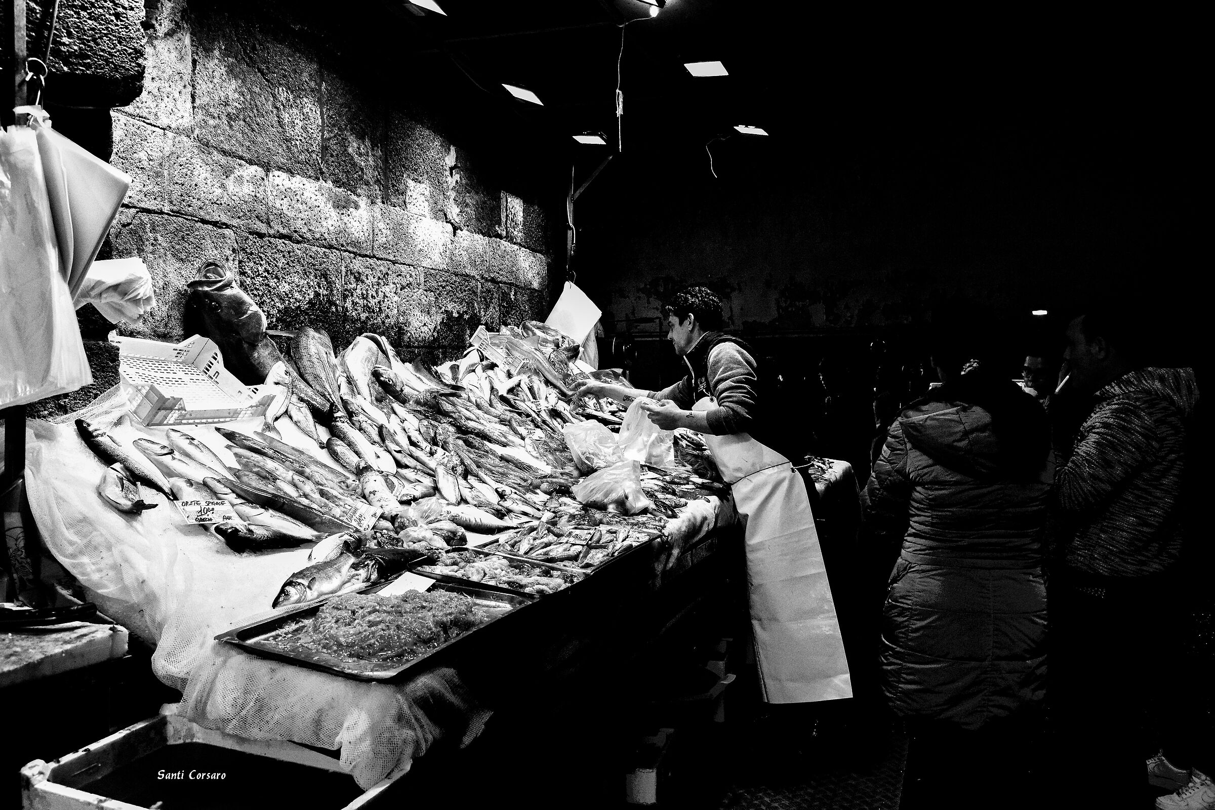 Sotto gli archi del pesce. CT