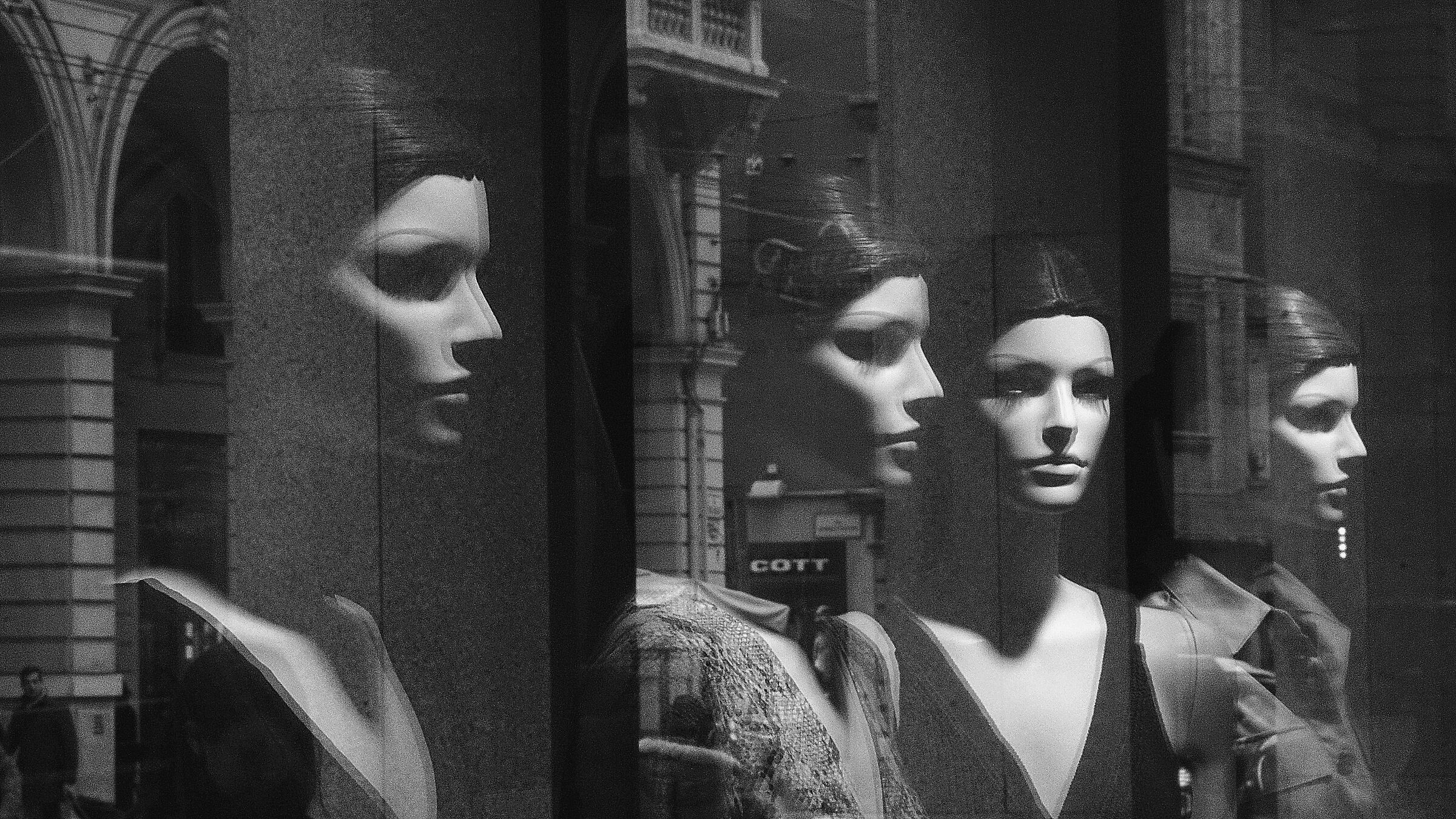 Untitled Photo