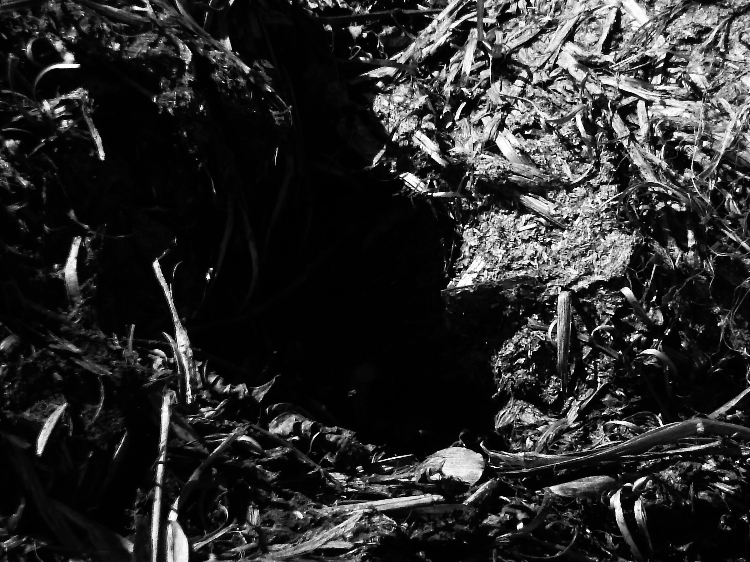 Io ci sarò … cercami ..