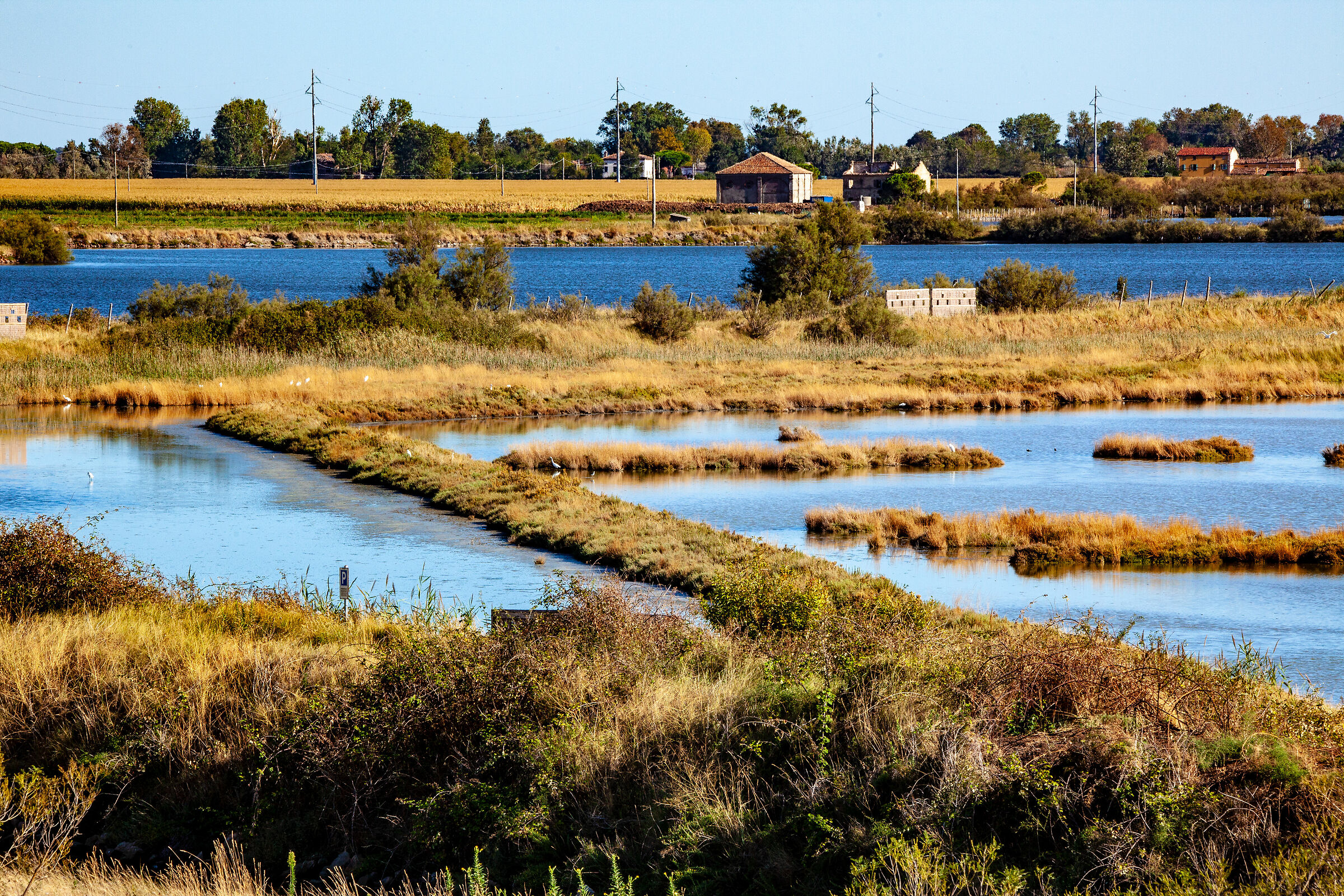 Saline di Comacchio