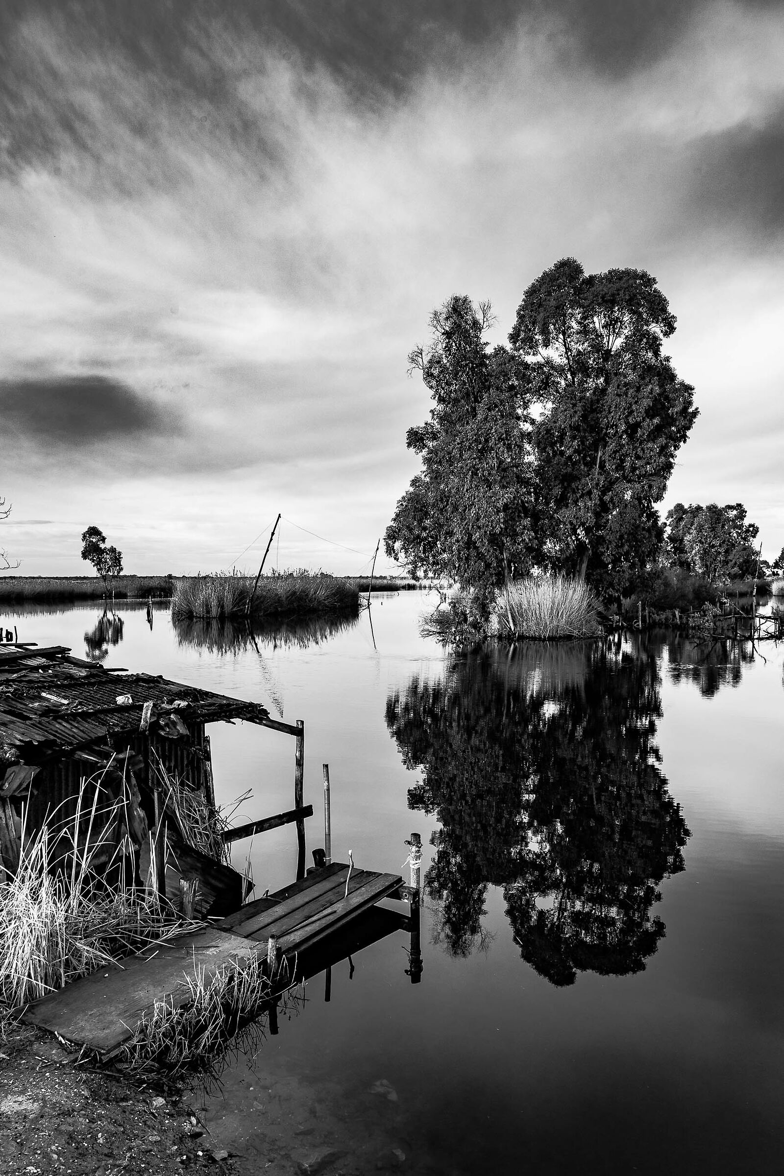 Lago di Massaciuccoli