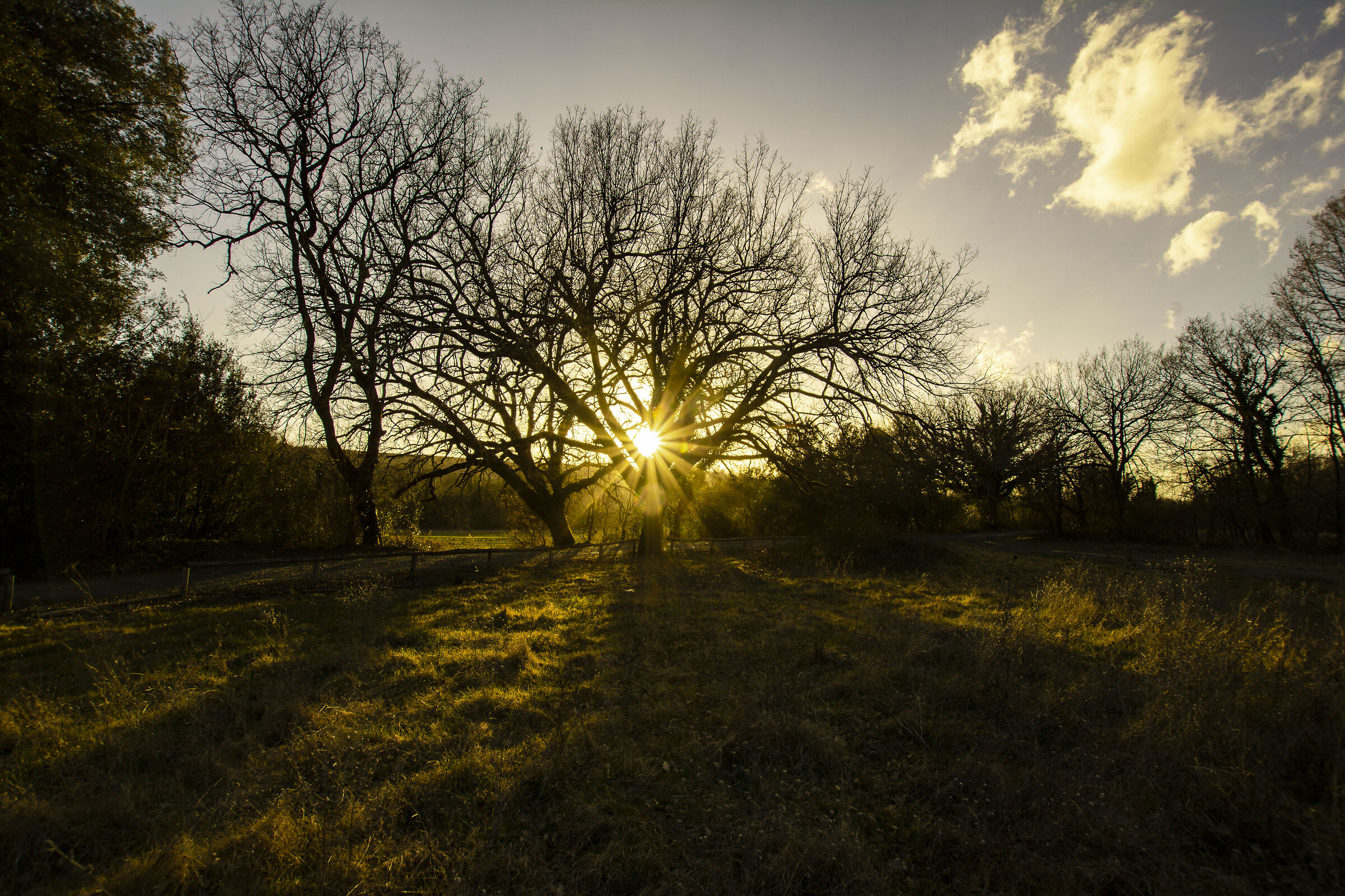 The shadow of the evening