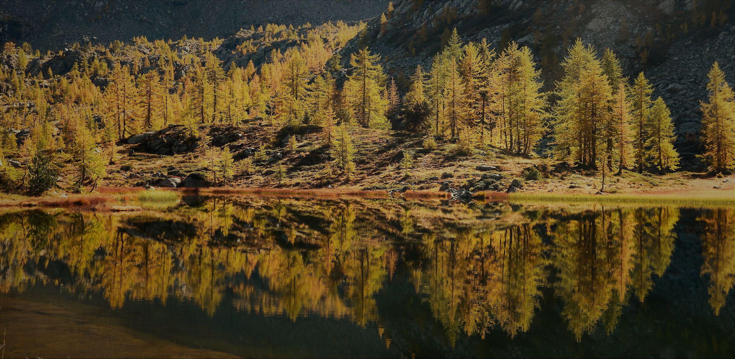 Lake Vallette-Reflections
