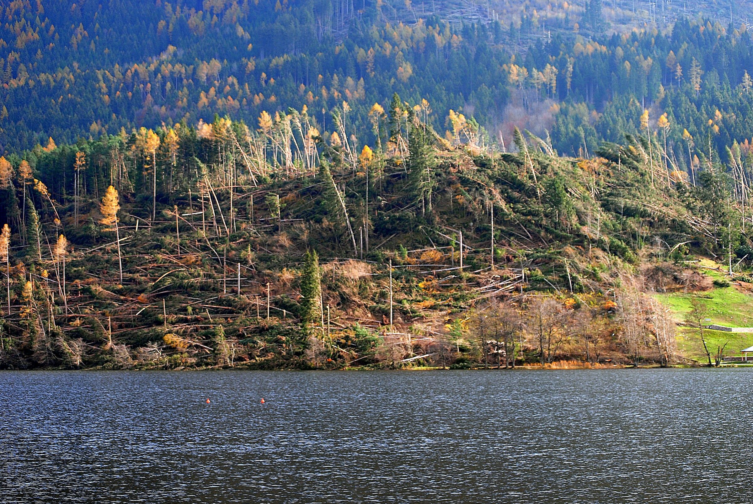 Wind damage in Trentino