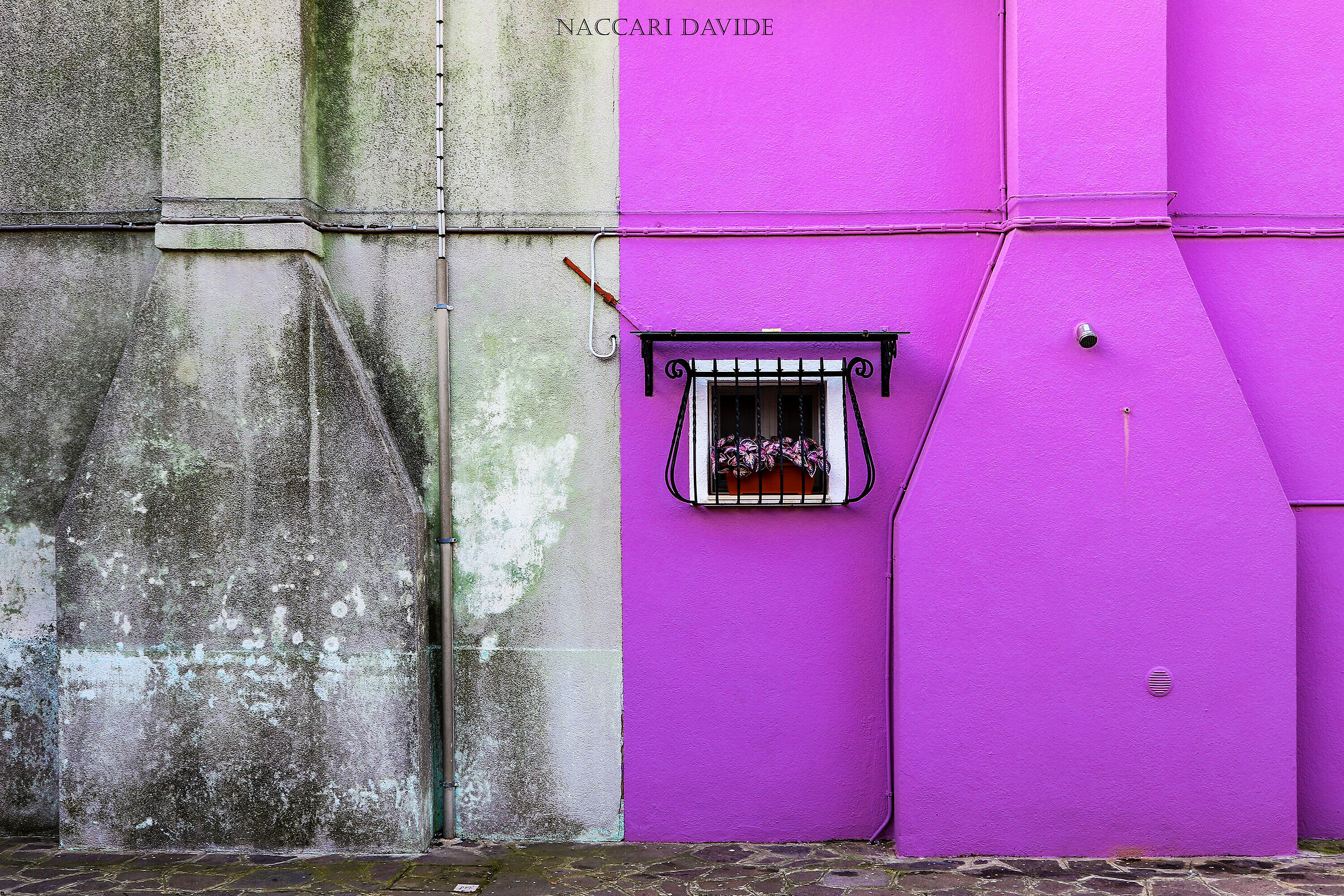 Scala di grigi vs Colore