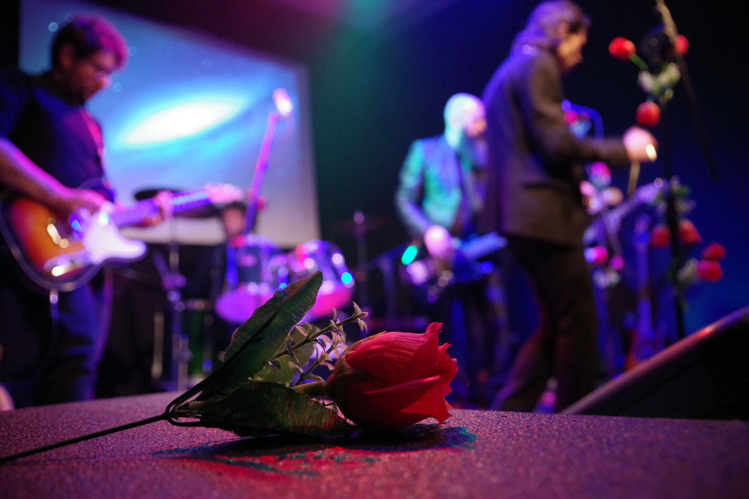 stll life (shameless band)