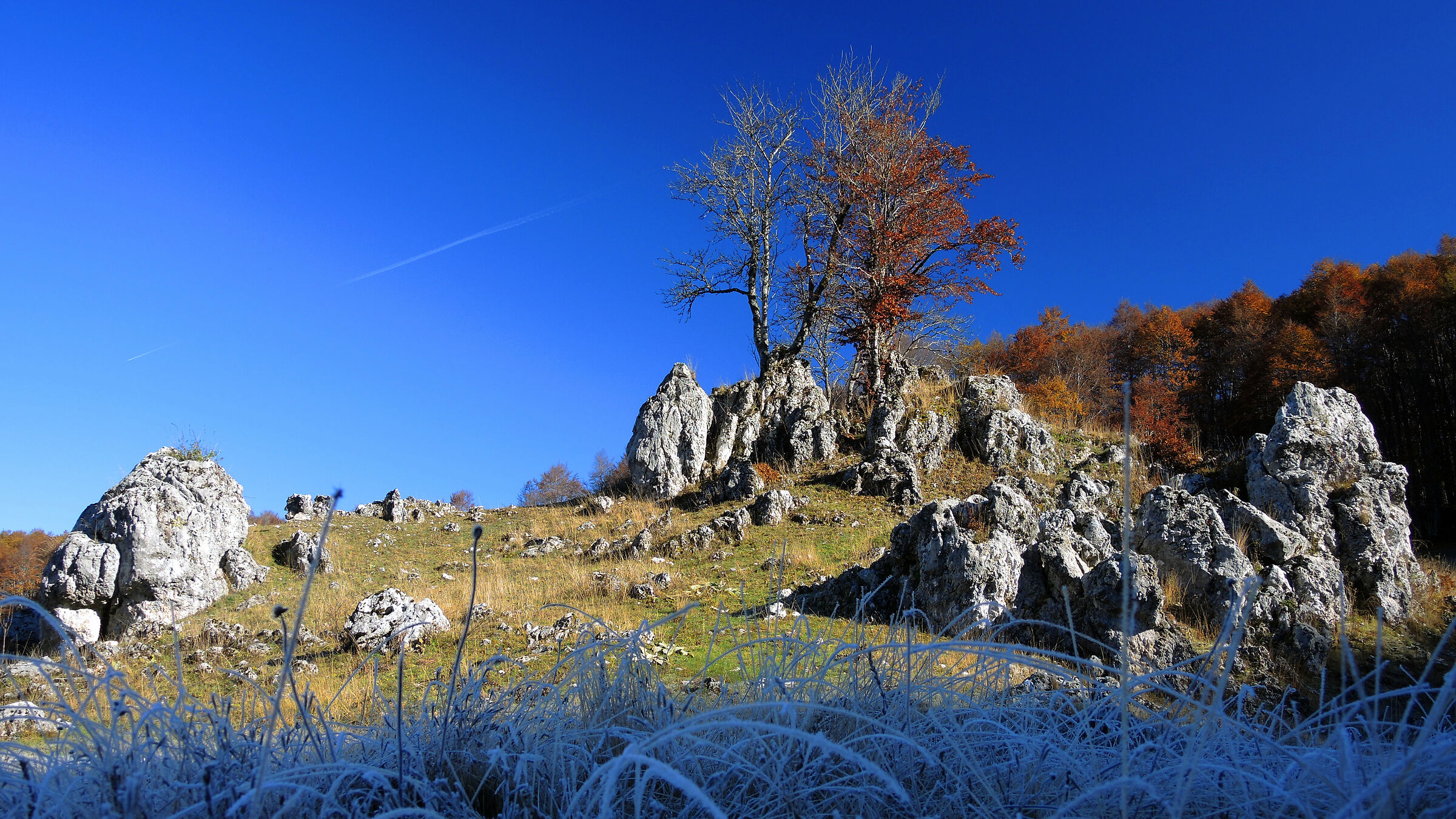 Frost... Still for Little