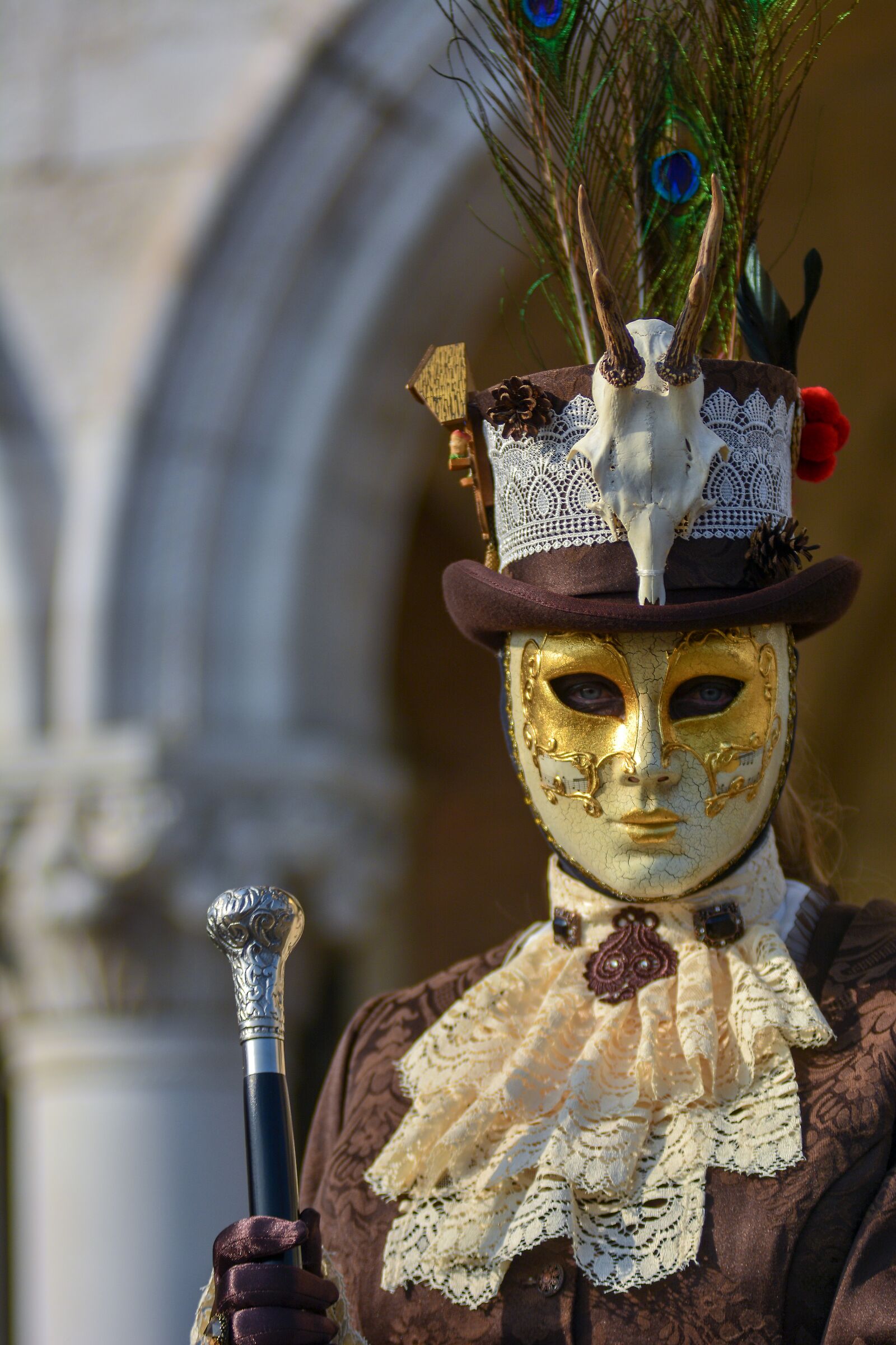 Carnival of Venice 2019-Venetian mask