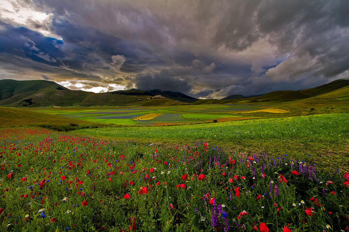 Castelluccio Mon Amour