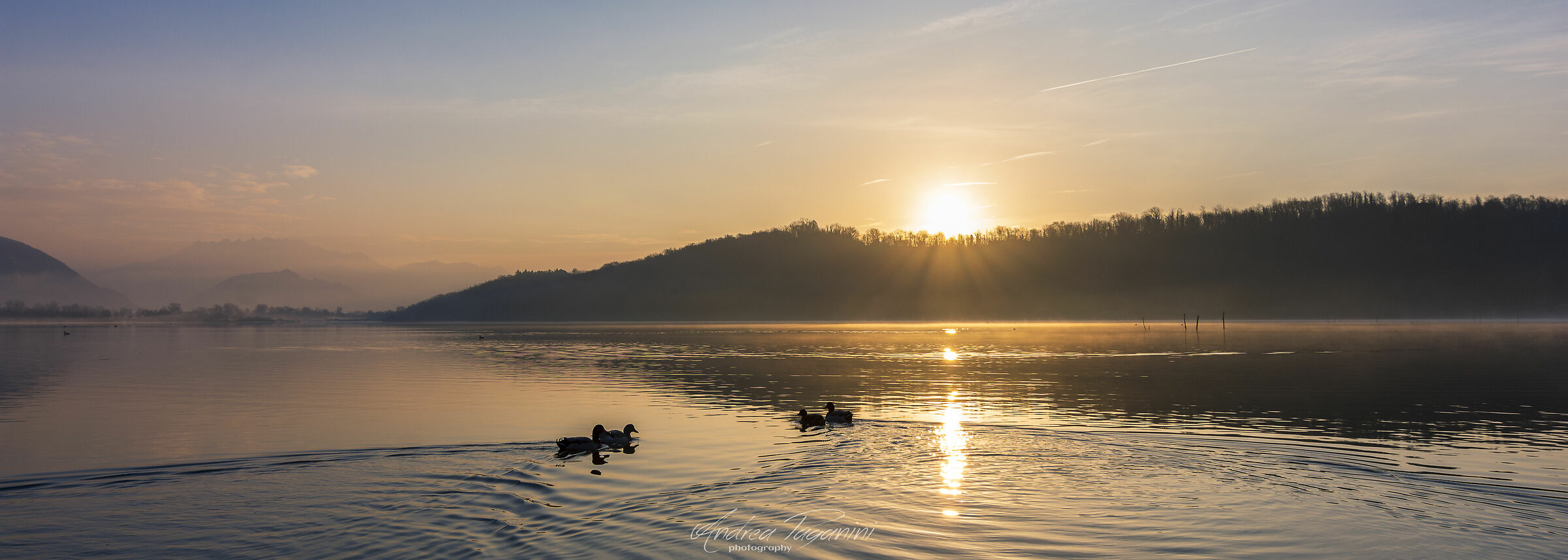 Loro sono le prime a svegliarsi