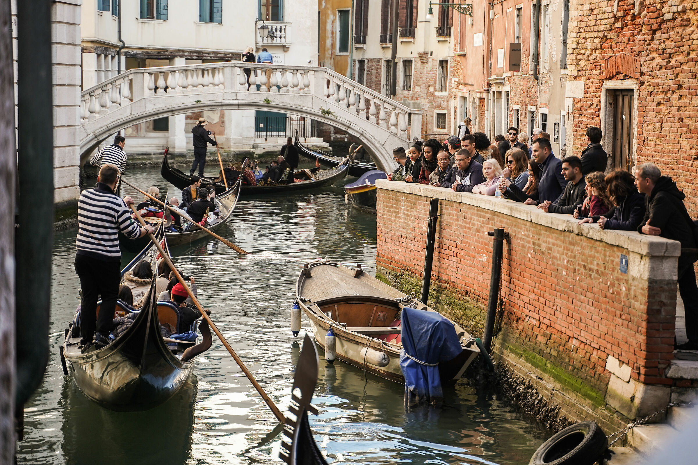 serenata in gondola