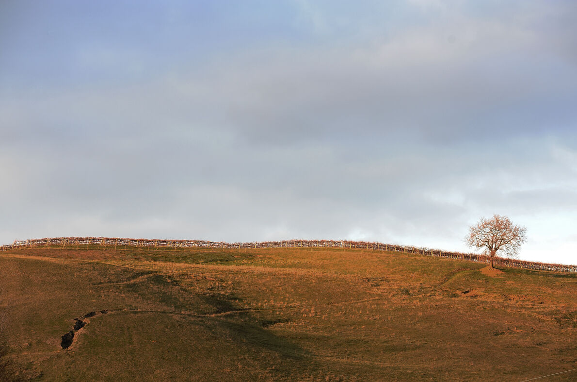 Sooner or later it will rain