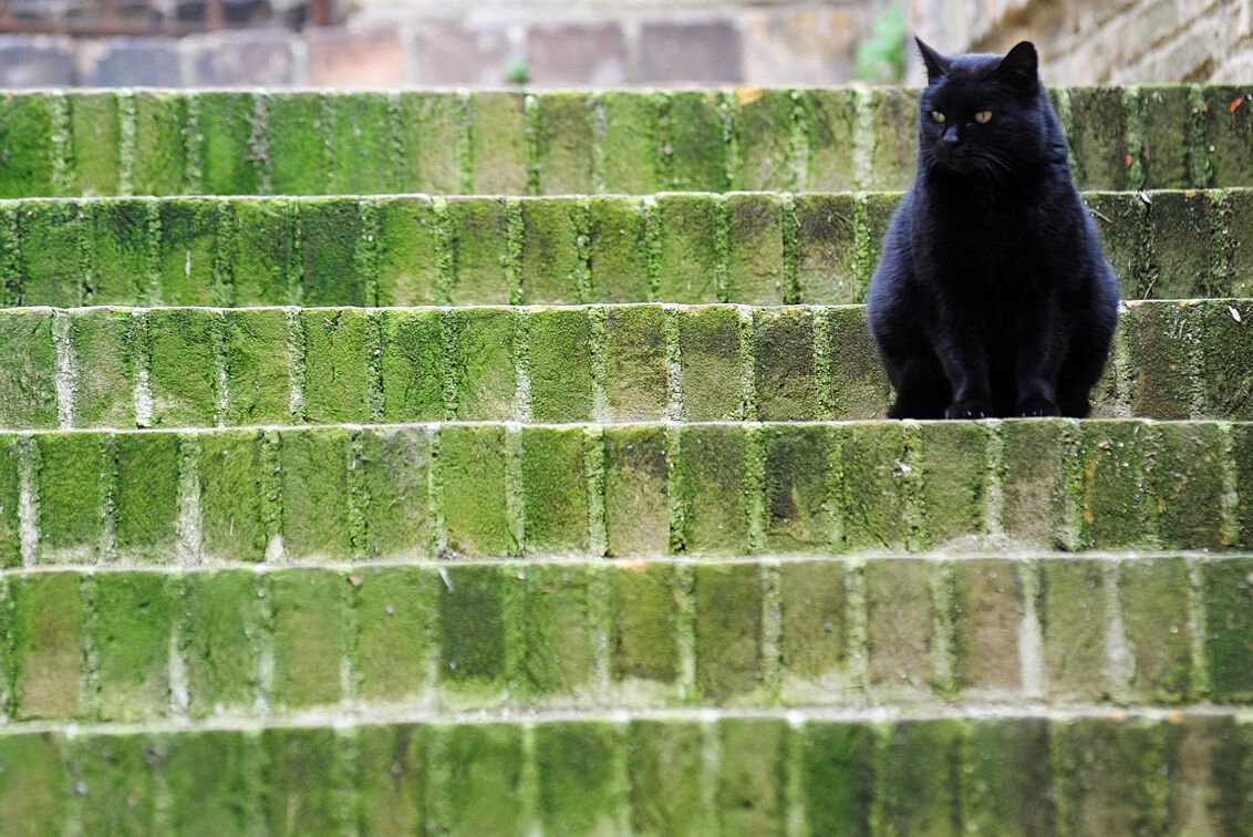 Qui sono e qui resto