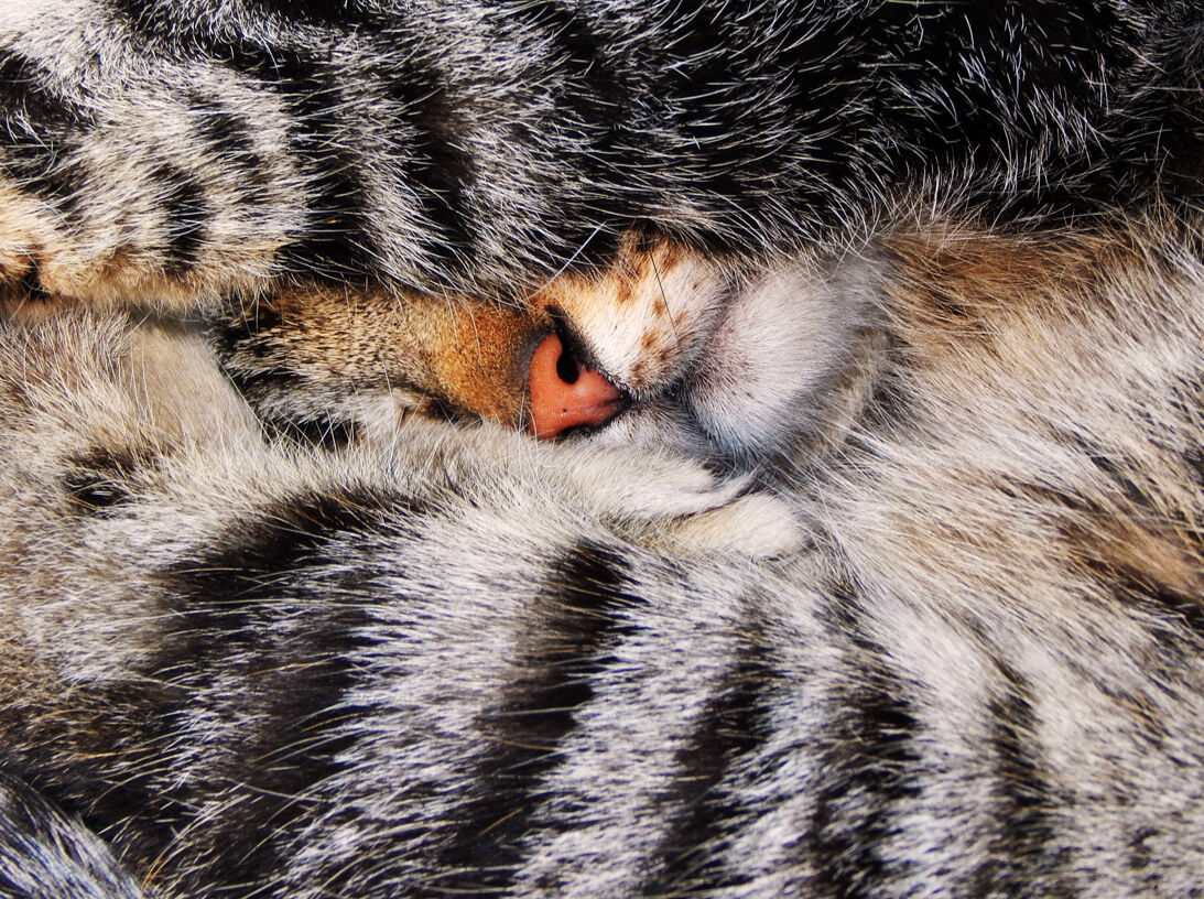 There are no for anyone