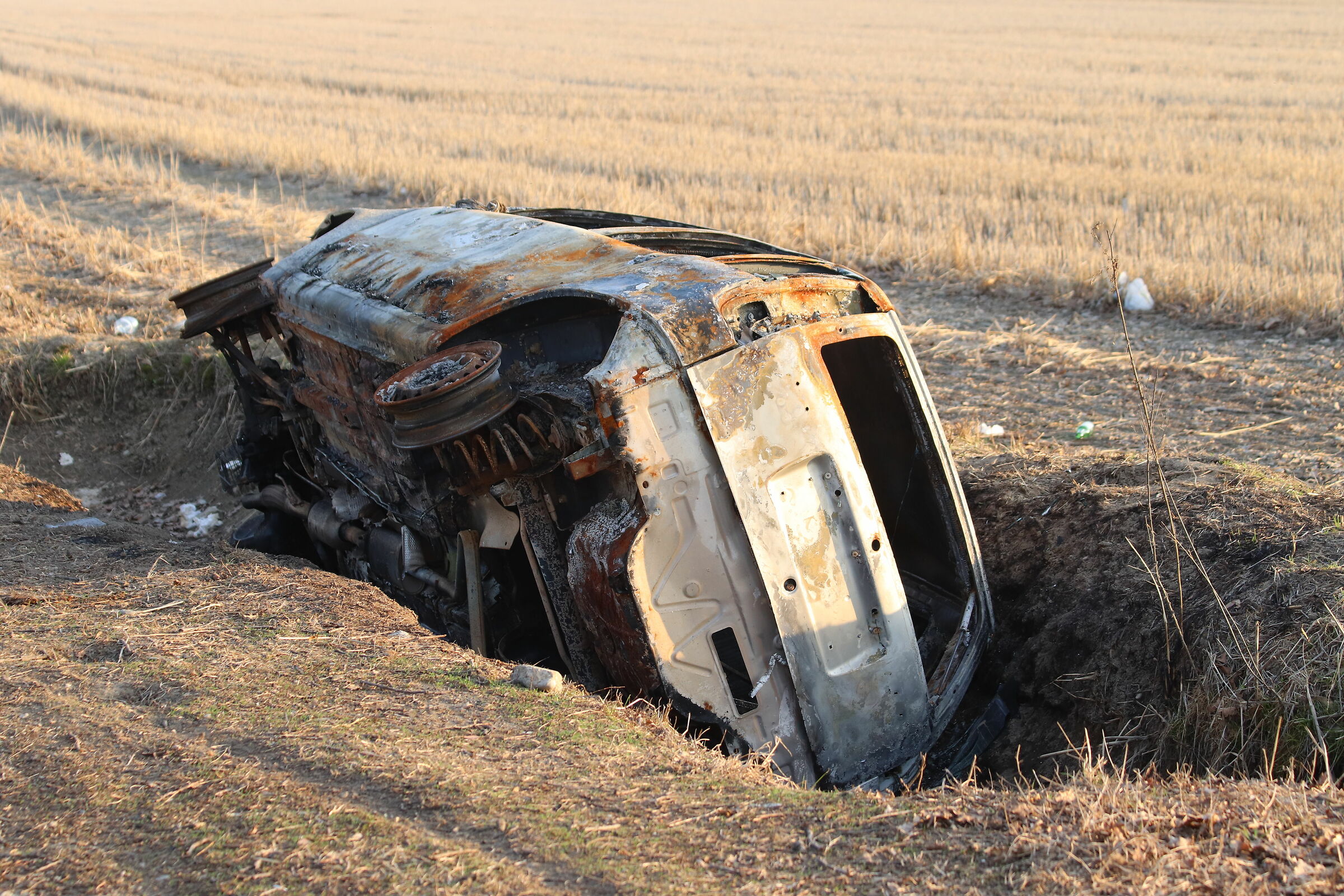 "Trasgenic" cultivations