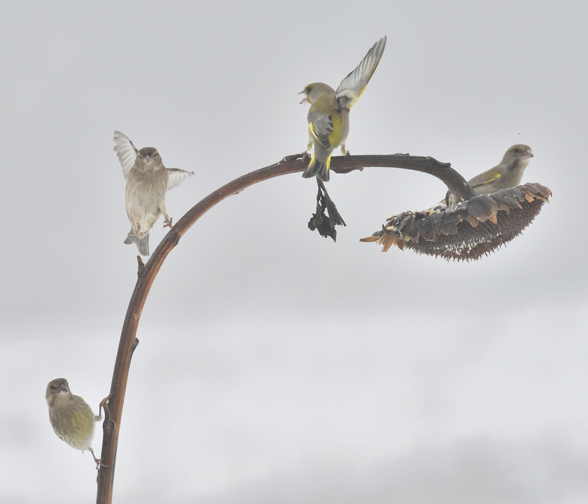 There is no place for everyone