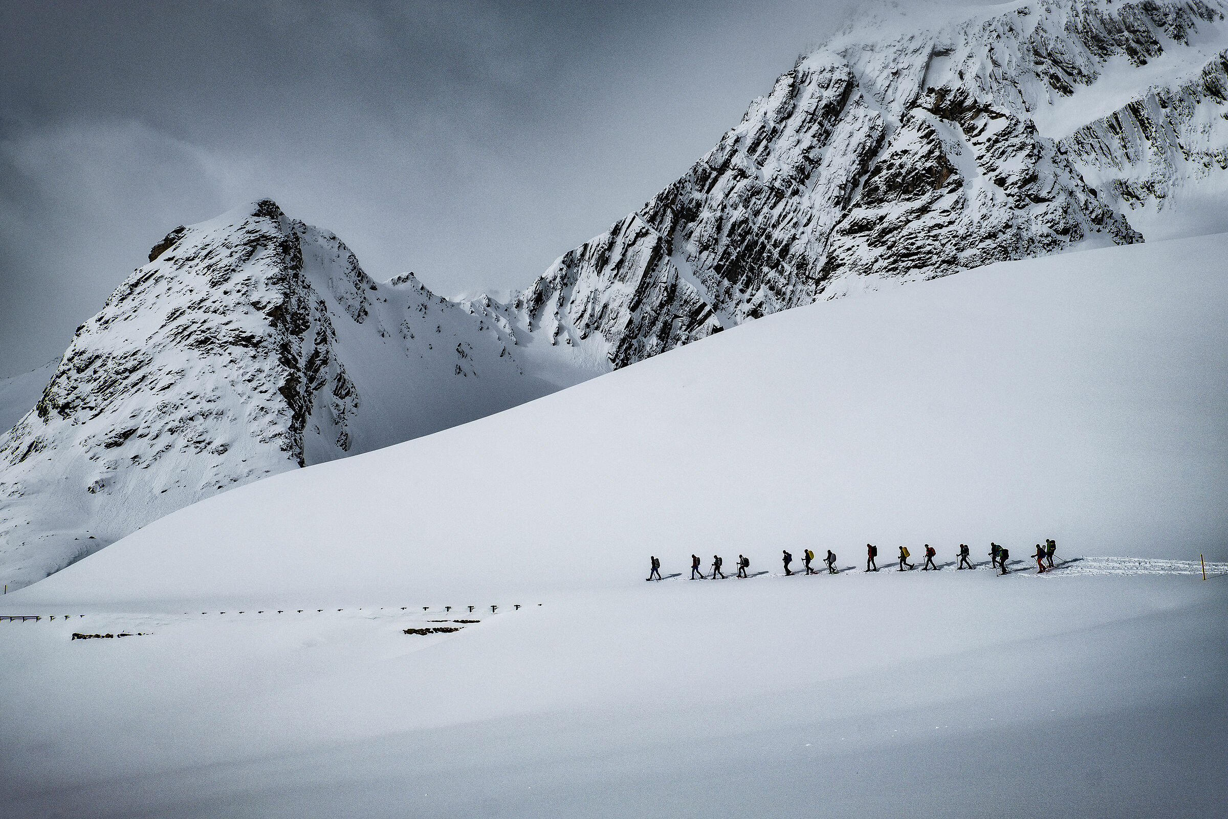 La compagnia dell'Adamello